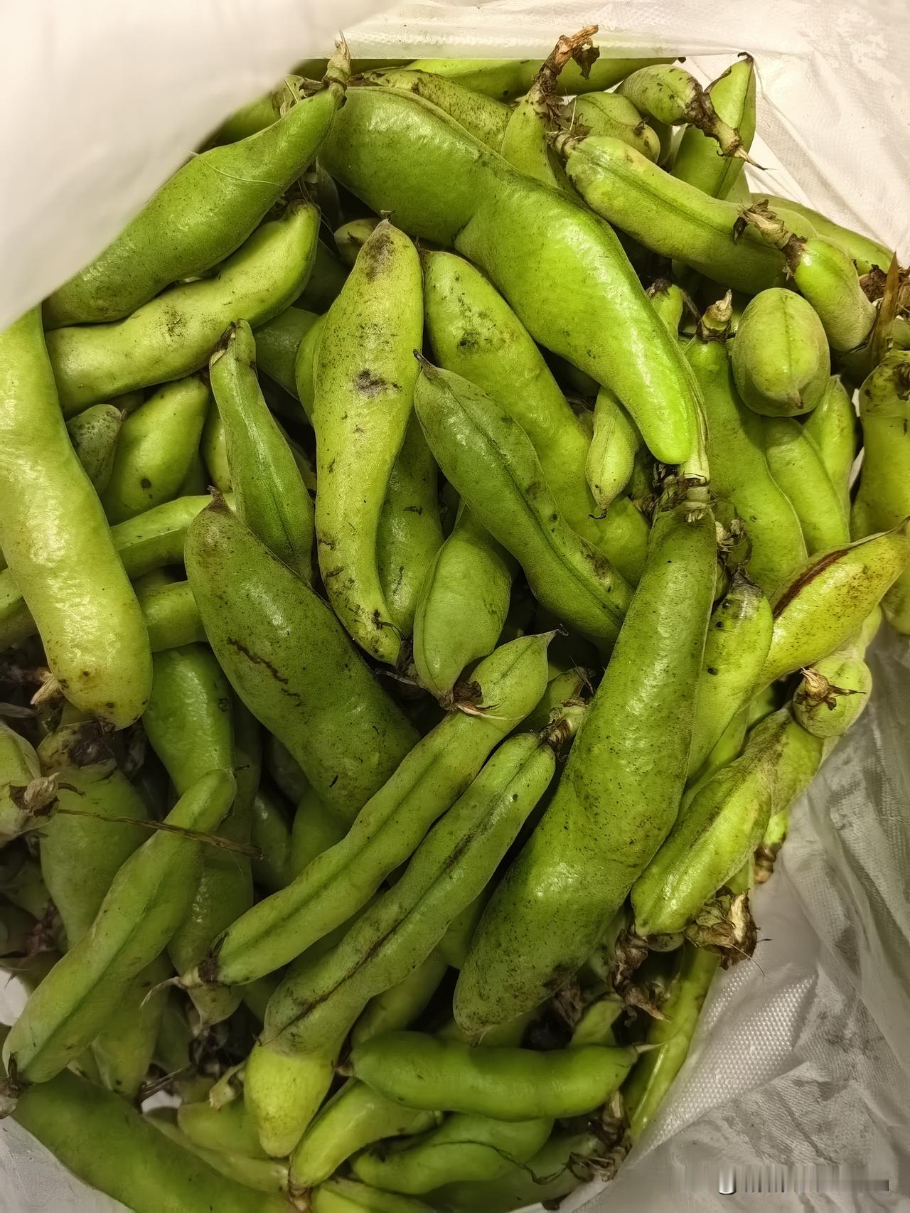 我家老头每天买菜挺辛苦的。
吃早饭前就买回了空心菜，韭菜花，10元7斤的大阪豆，