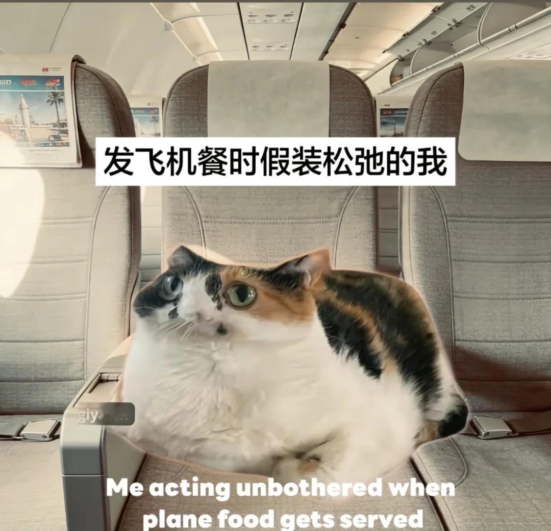 梗图