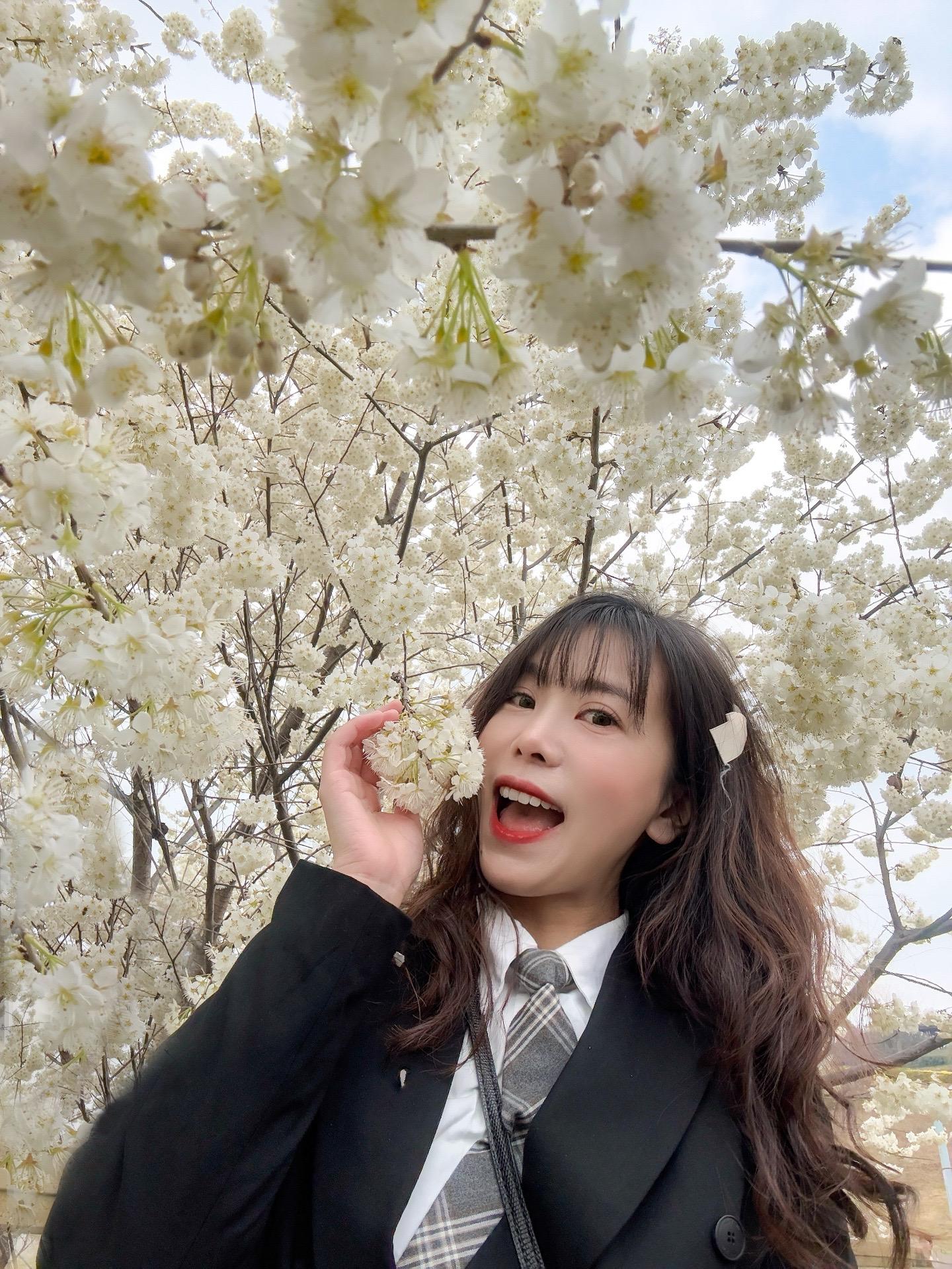 “樱花树下站谁都美”🌸成都的樱花开好啦。天气超好的一周 快出门拍花花吧～