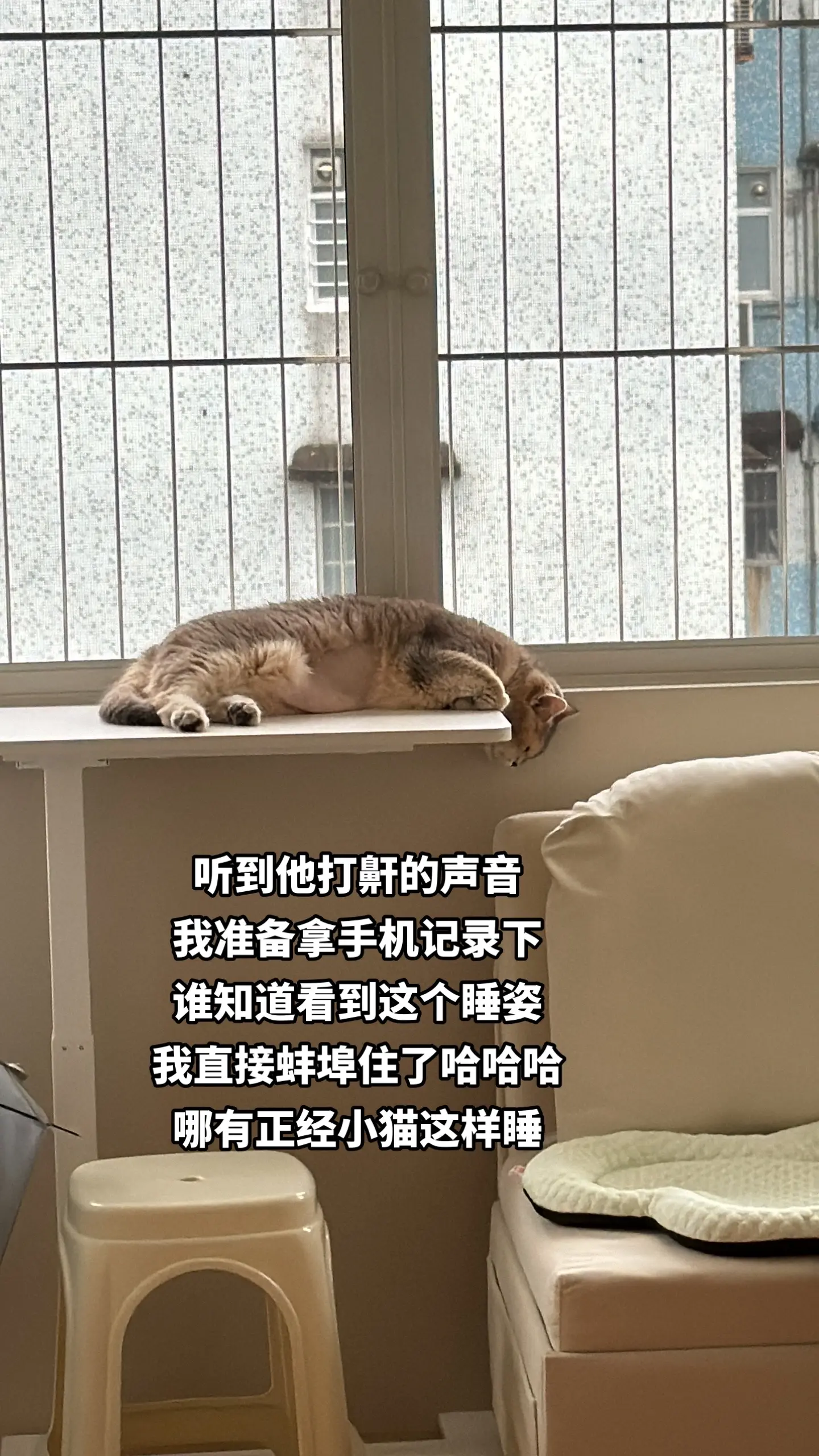 这样的睡姿第一次见