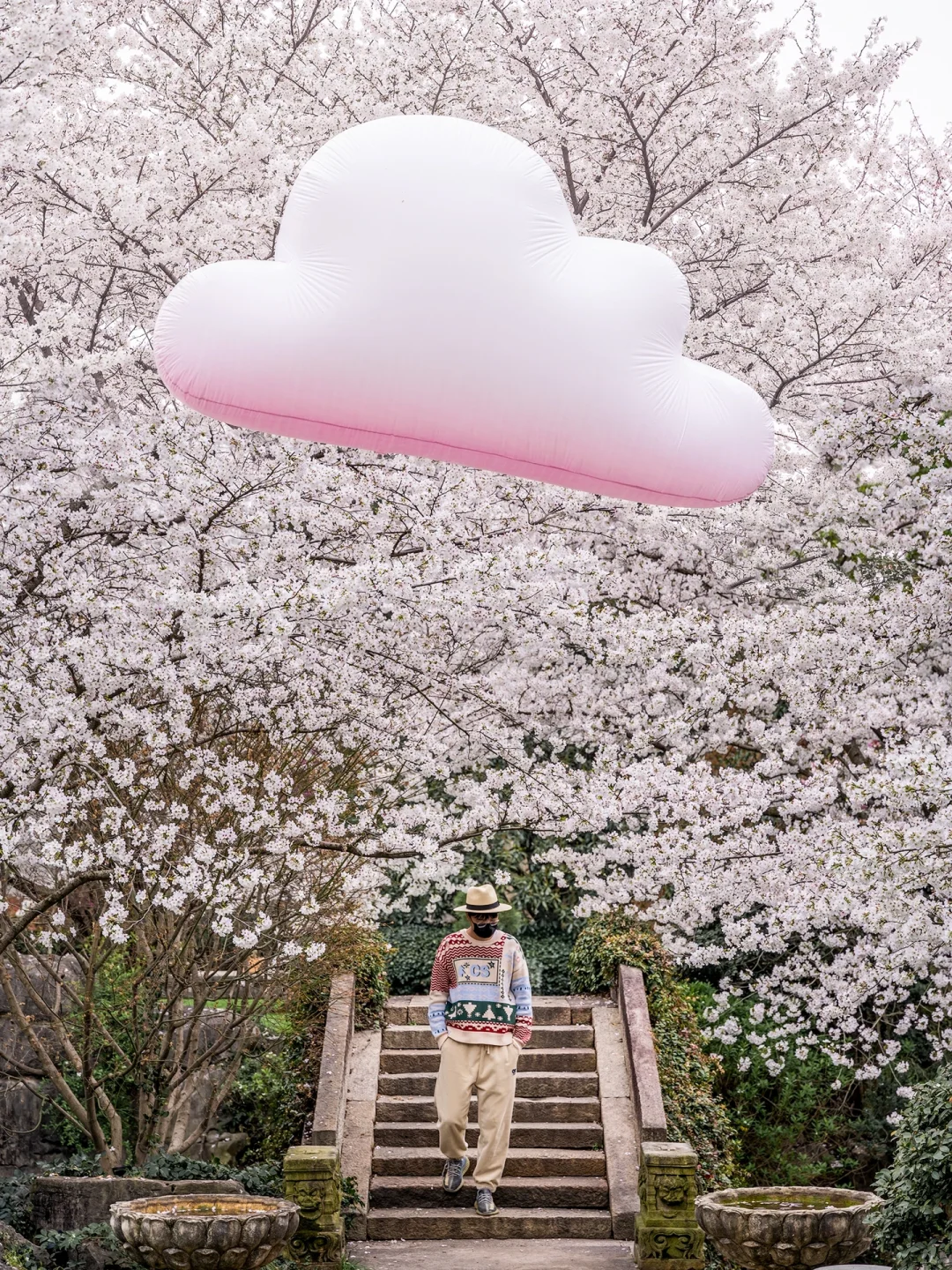 小众樱花秘境🌸这里有一朵会下樱花雨的云朵