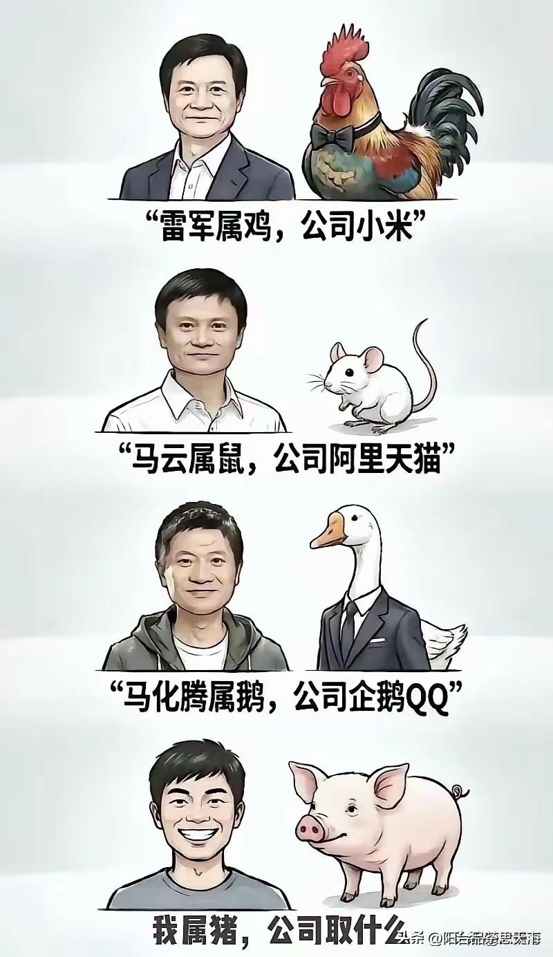 那我们属羊的
开一家公司叫什么呢？