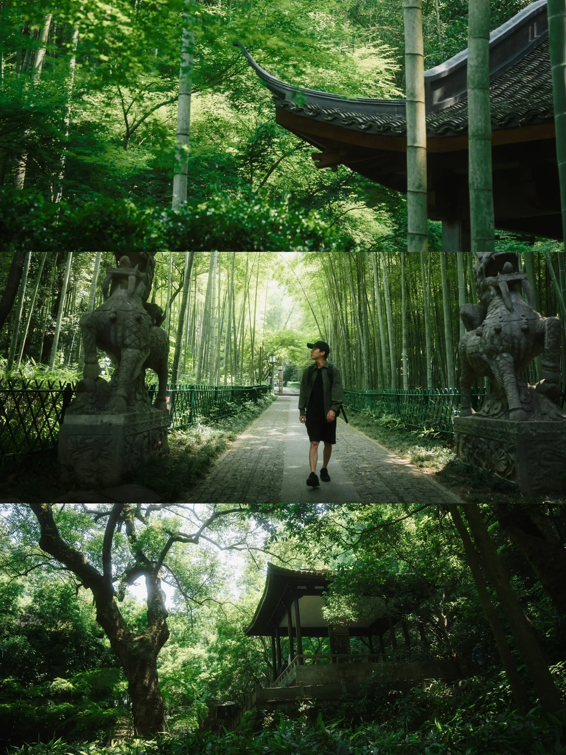 我拍到了卧虎藏龙发哥的同款机位。