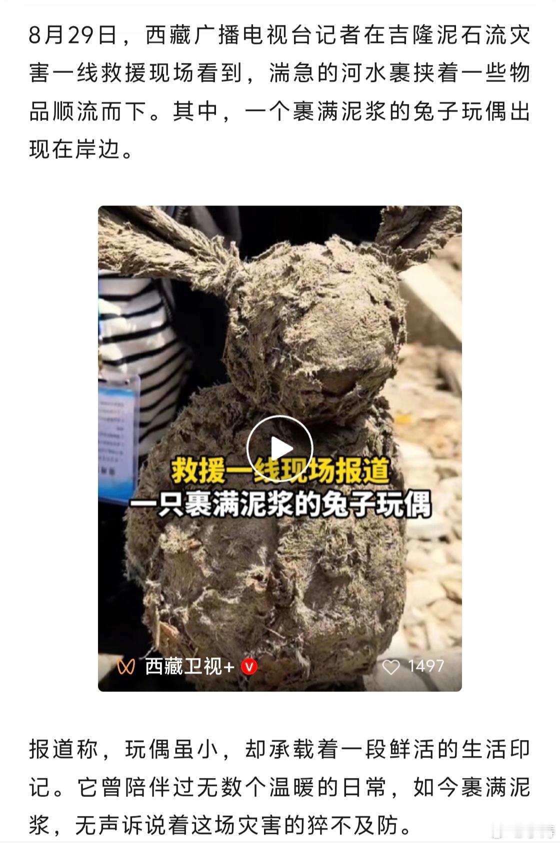 因为也有同款兔子，并且带着去各地旅行（但遗失在贵州），看见这个，心里真是说不出的