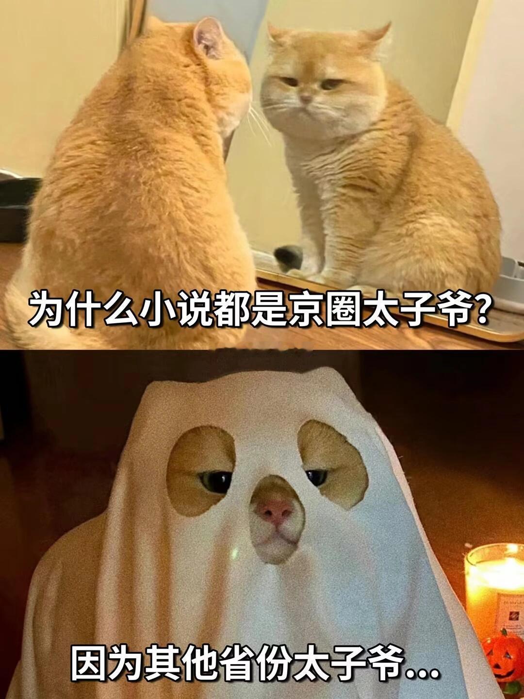 为什么小说里都是京圈太子爷，却没有其他省份的太子爷？ ​​​