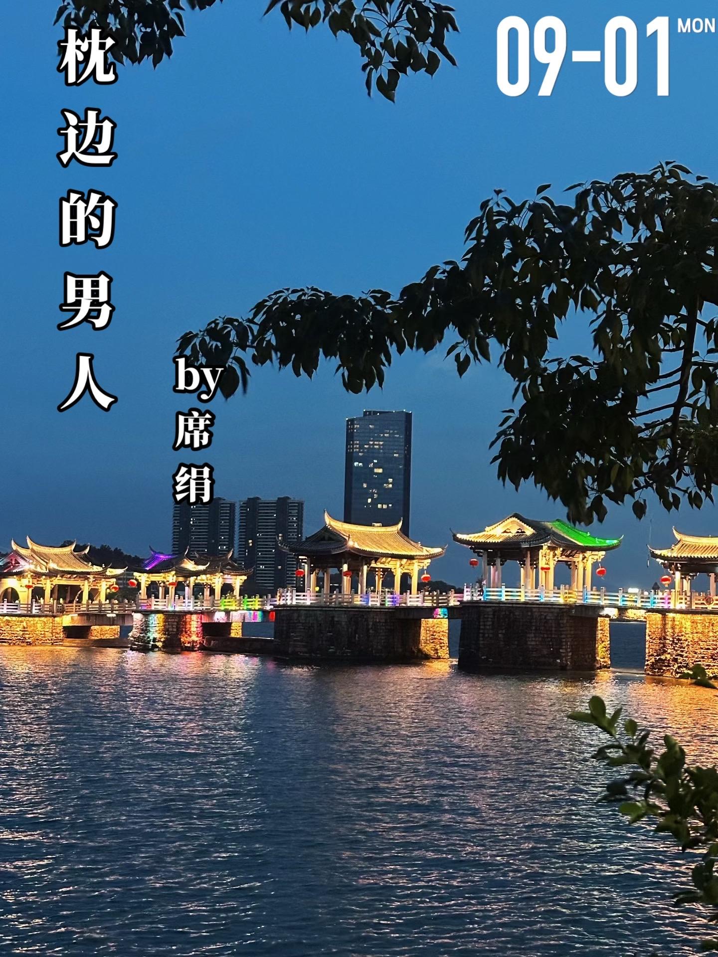《枕边的男人》by席绢。童瑶从高中时期暗恋潘雅湛，在高中毕业的一场聚会...