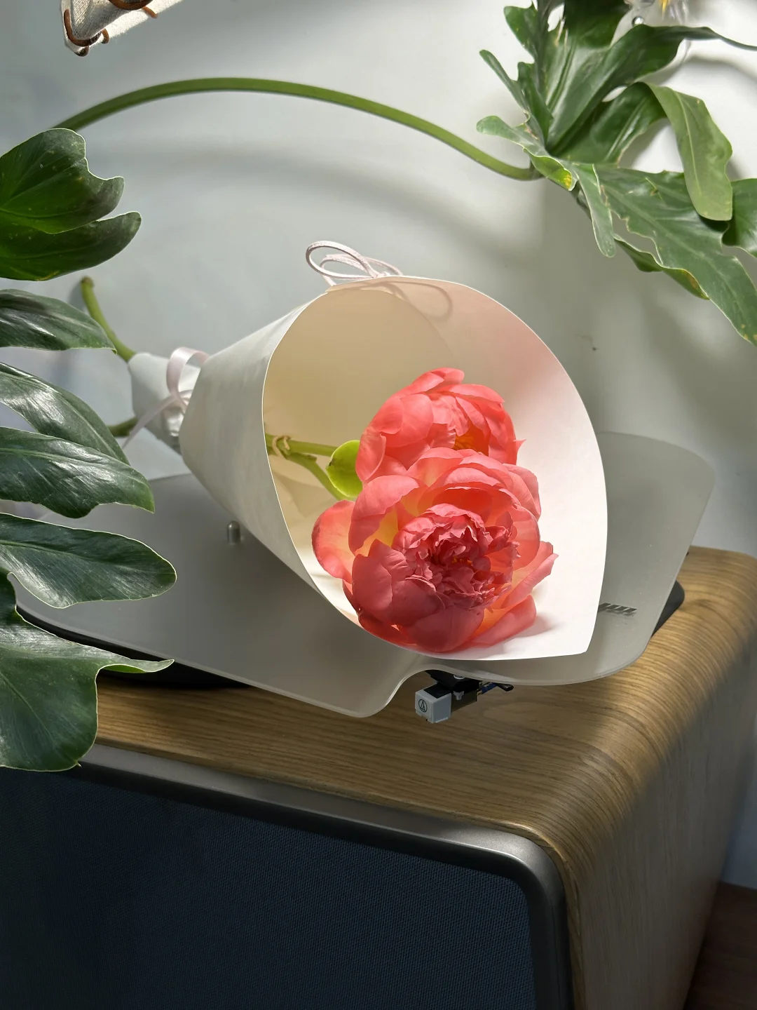 牡丹江花店｜芍药