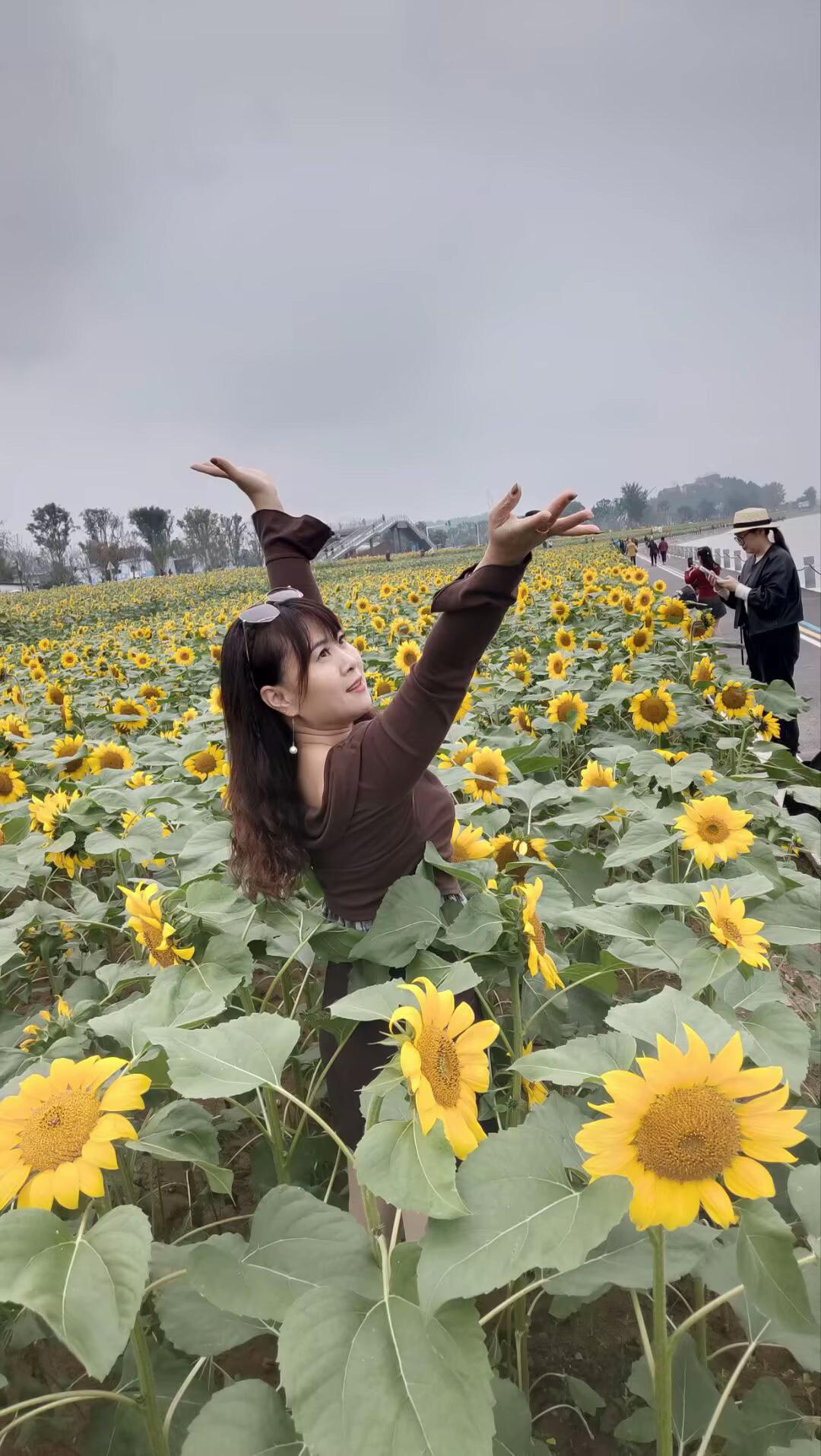 秋风总是笑我还没忘记你，我笑秋风无情无义，就算爱来爱去爱不到结局，入心...