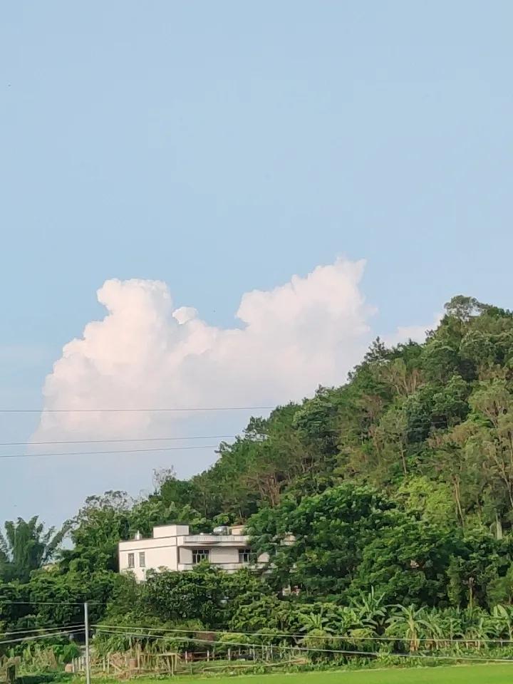 给大家分享我手机里的一张AI美图，是张清冷质感的AI人像壁纸。和那些千篇一律的甜