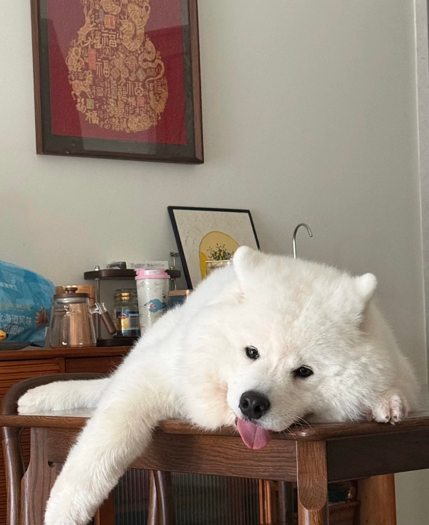 人，你的饭桌我已经占领了 ​​​