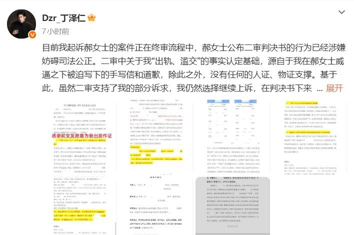 感谢前女友愿意为我出庭作证丁泽仁公开再审申请书 ​​​