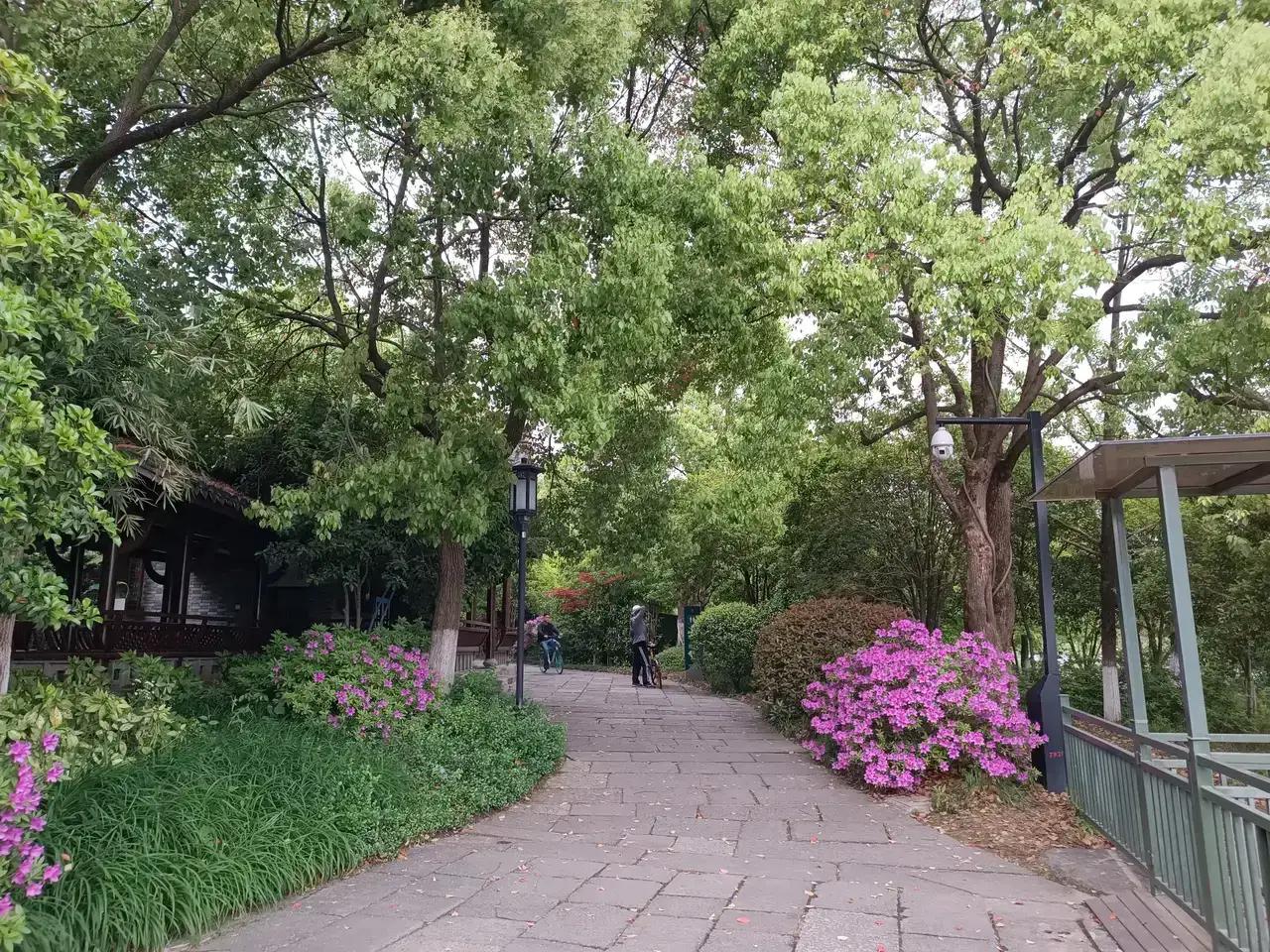 杭州的湘湖在萧山区非常安静，水面上时而有鱼跃出水面，天空中有小鸟飞过，湖两边盛开
