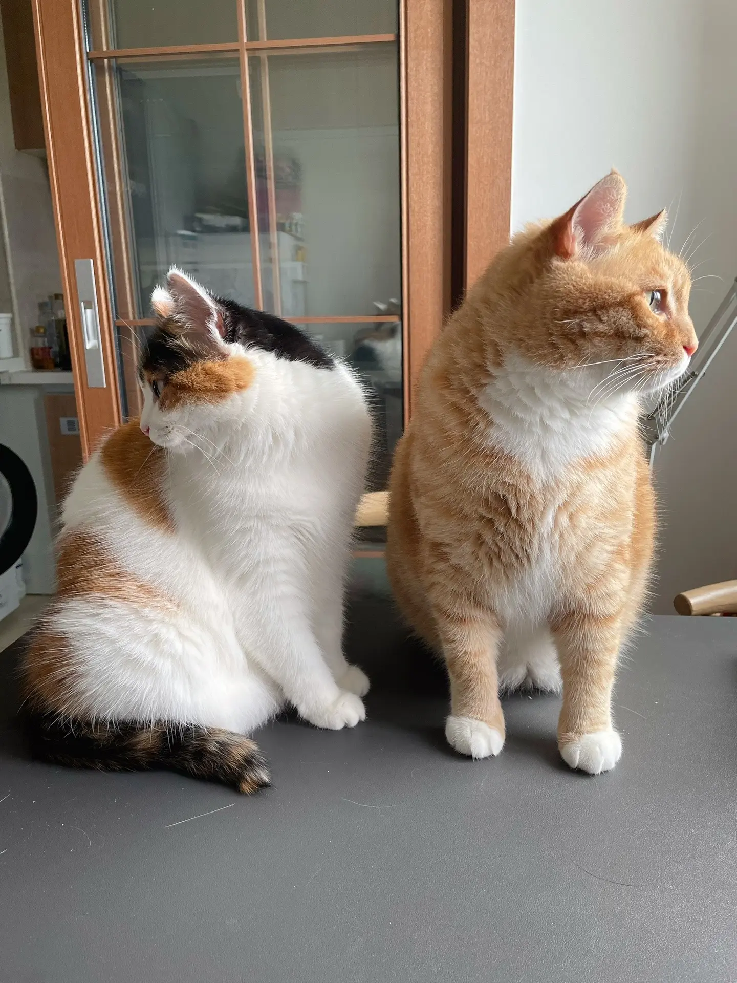 要和美女保持距离。