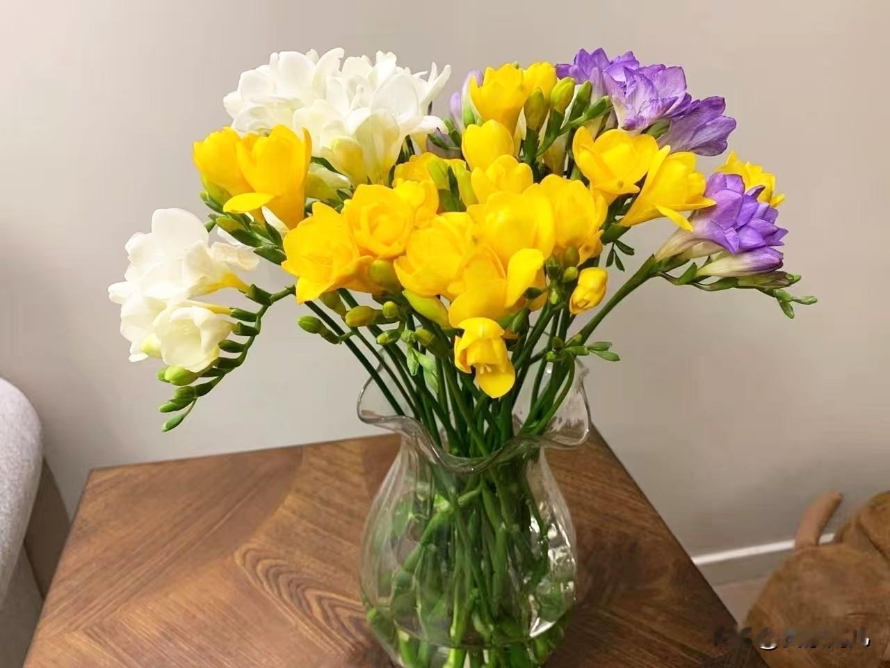 取悦自己。
所有社交考验的本质，
都是在人情与自我之间找平衡。
不必为了迎合他人