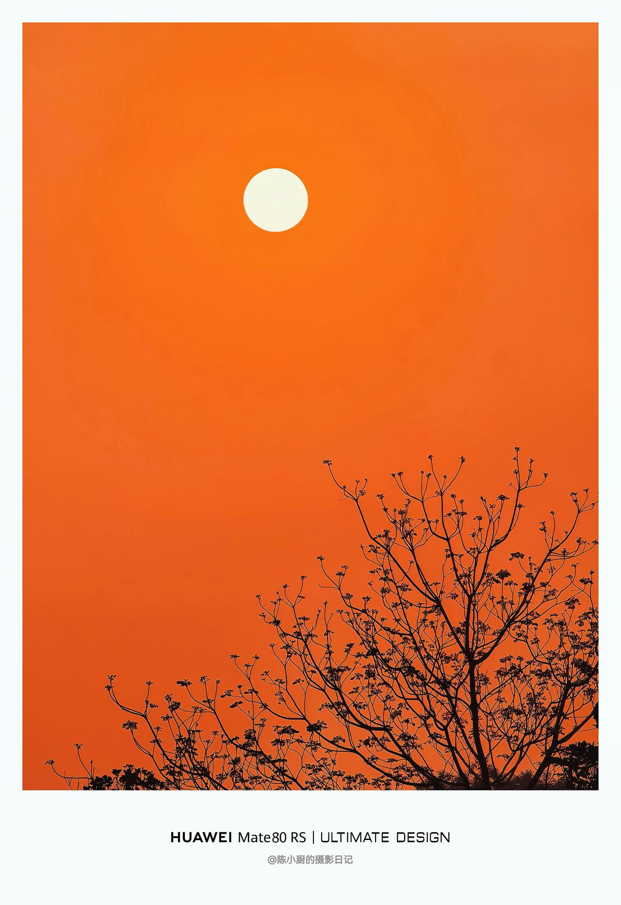晒图笔记大赛少即是多，是摄影的终极浪漫。没有多余的色彩，只有橙空、白阳与黑枝。极