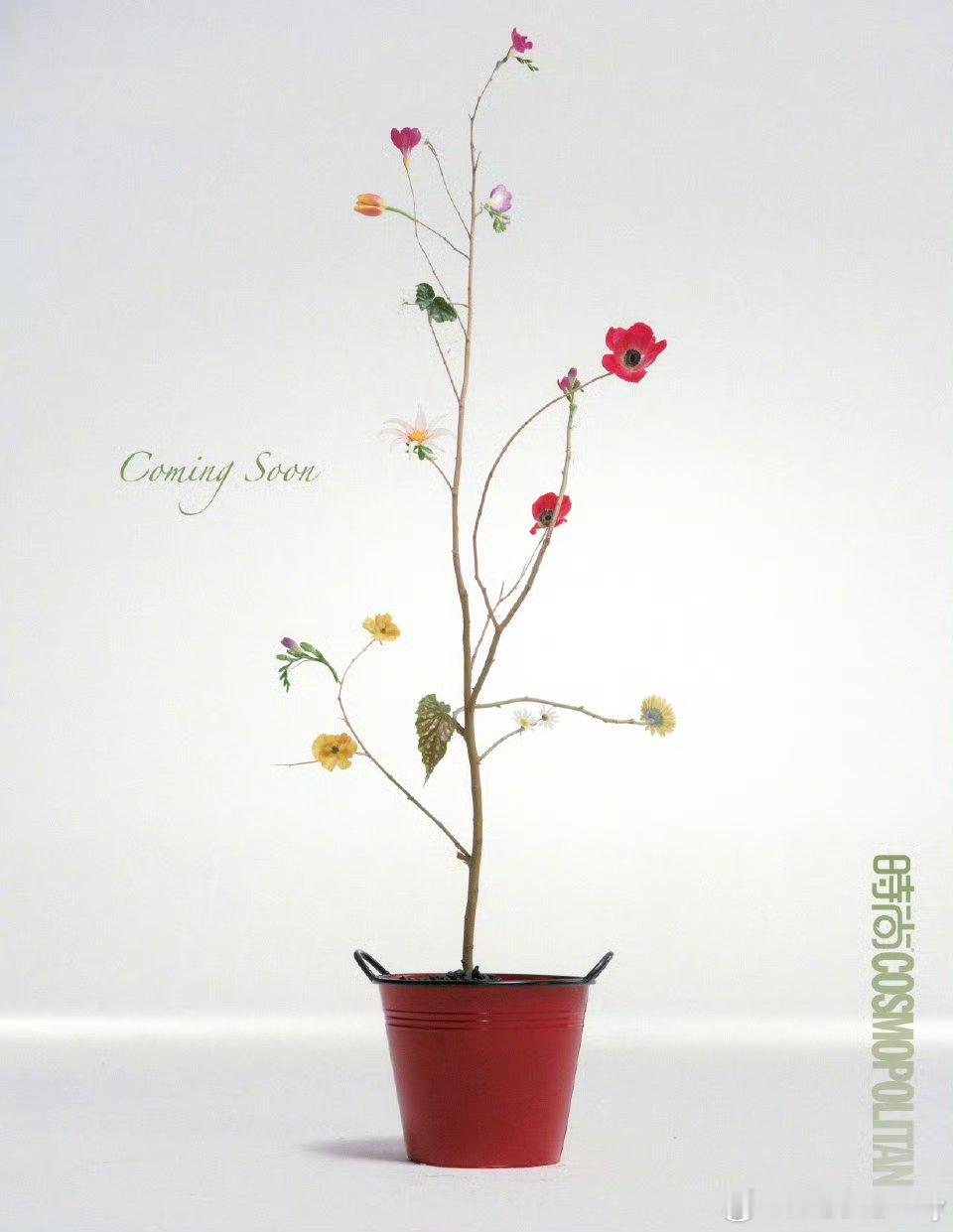 李昀锐时尚cosmo五月刊封面预告，恭喜小林正式解锁首本五大！