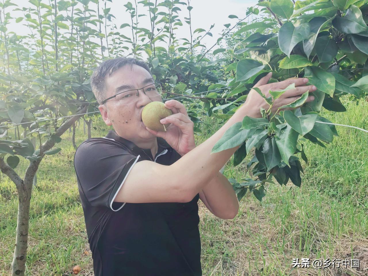 第六篇：策——政策红利，你抓住了吗？

2026年中央一号文件明确提出：锚定农业