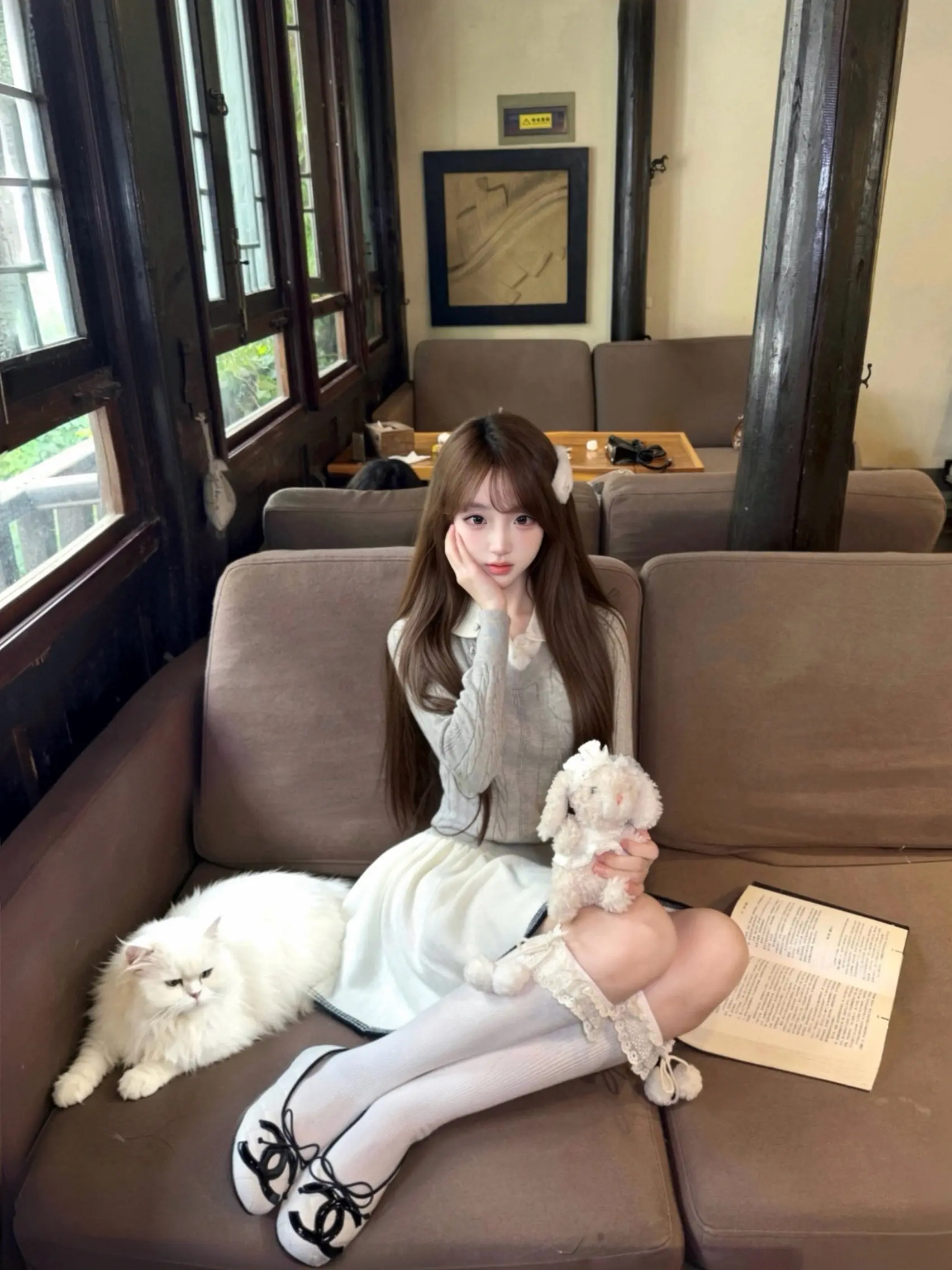 要是我是一只小猫就好了 这样就连我闹脾气也有人觉得我可爱...