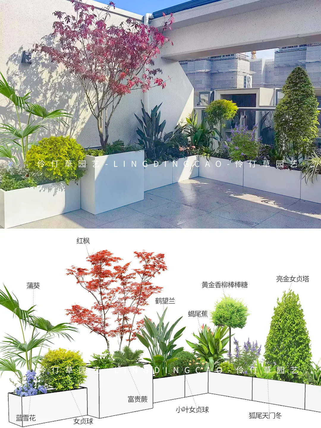 60平顶楼露台秒变大花园|附植物清单！