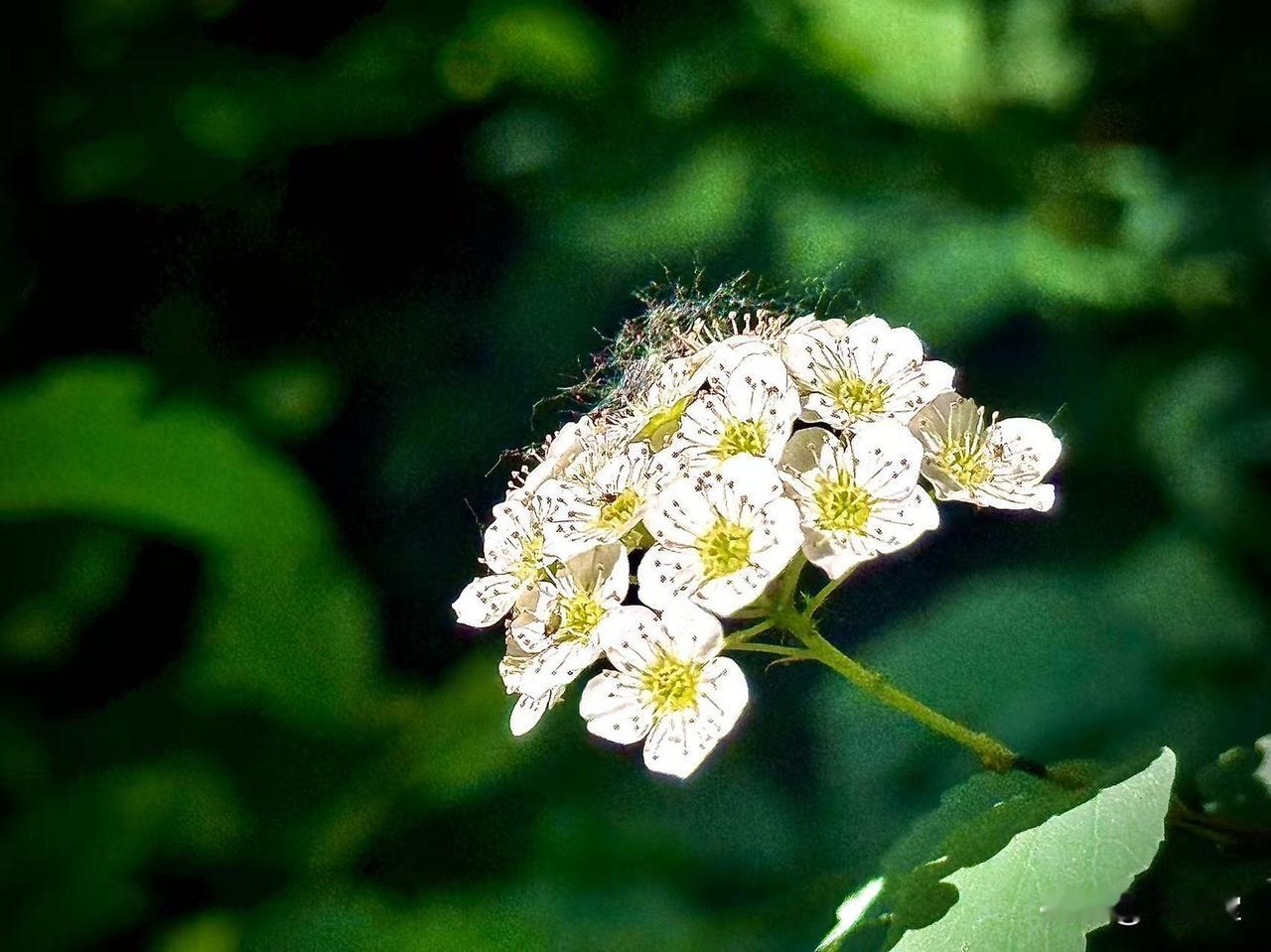 吼出春潮般的颤音
              （原创）


风雨过后，一切归于平