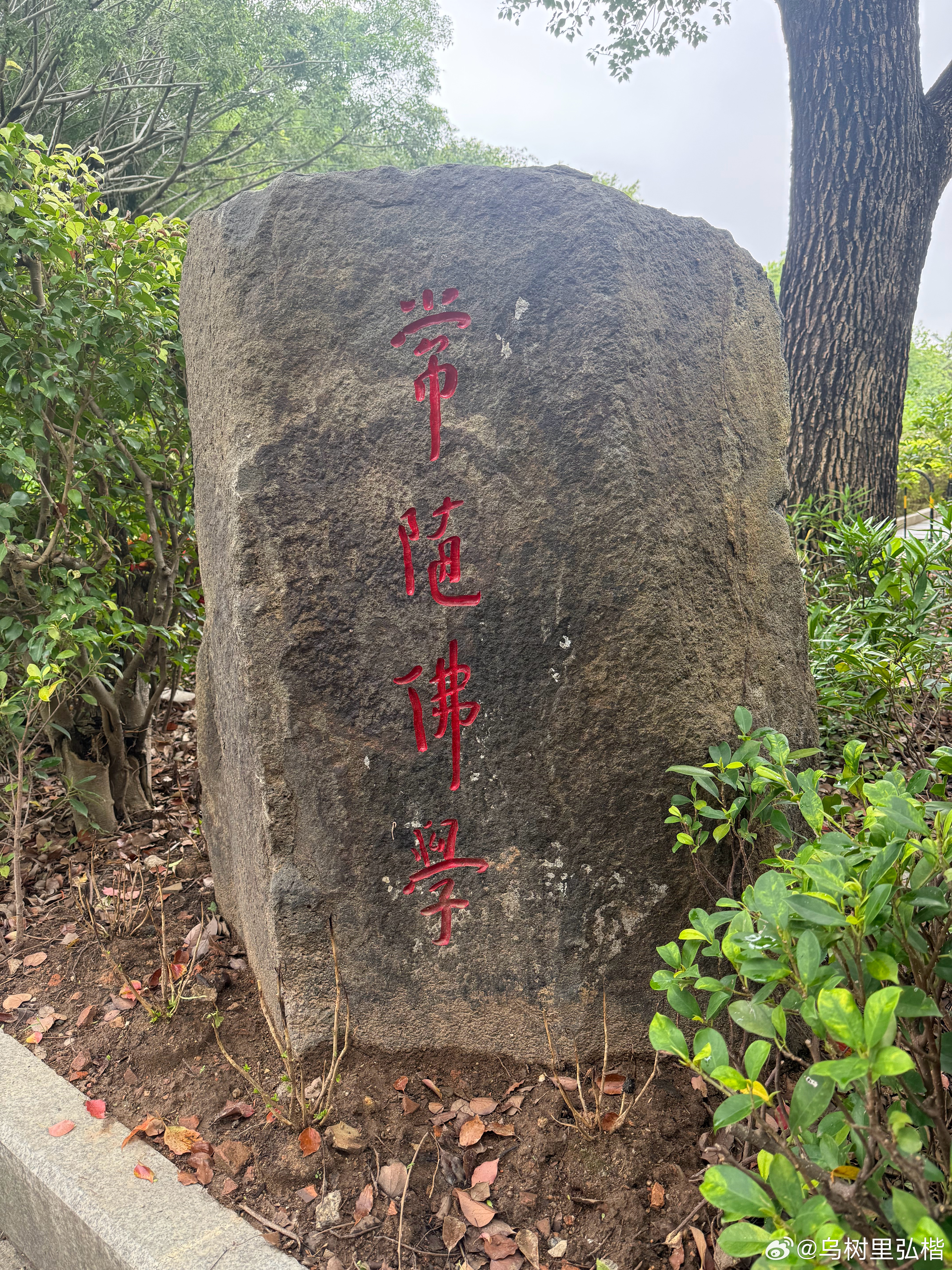 成年人越活越通透，大多都是从学会闭嘴开始的。很多烦恼，都是话说太多、争辩太多招来