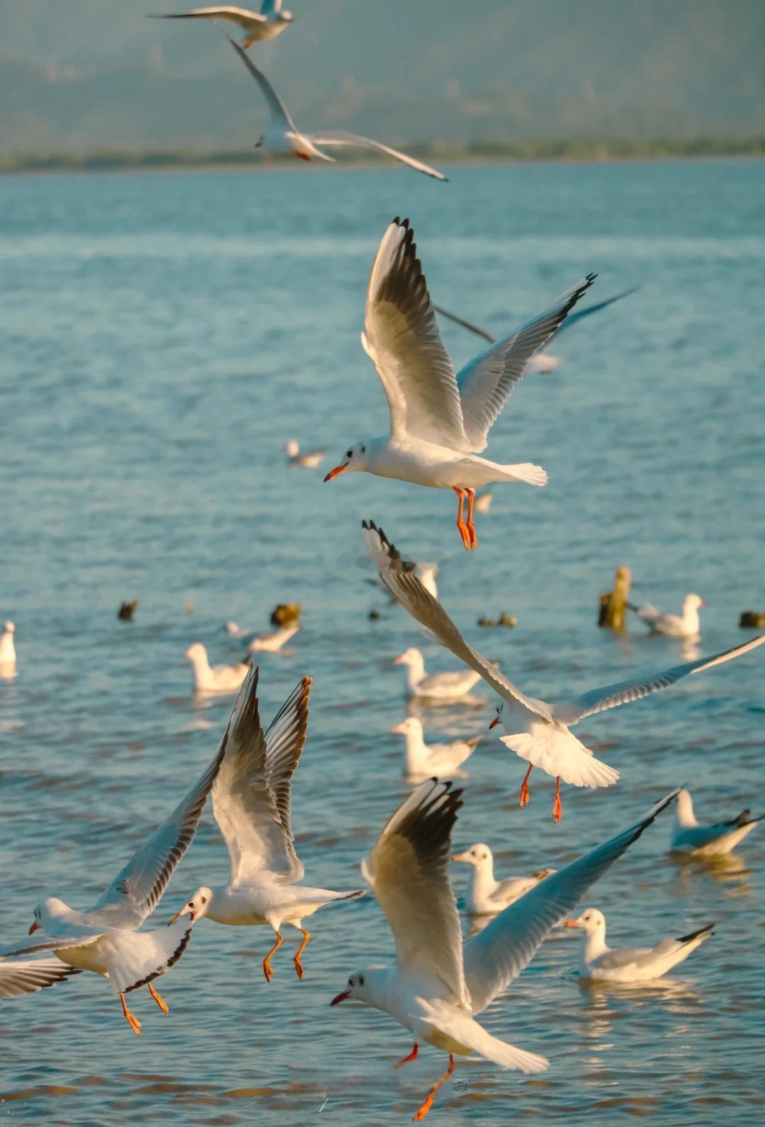 远离那些长期处于抱怨、躺平、散播焦虑的群体。他们的世界观是一面扭曲的镜子，待久了