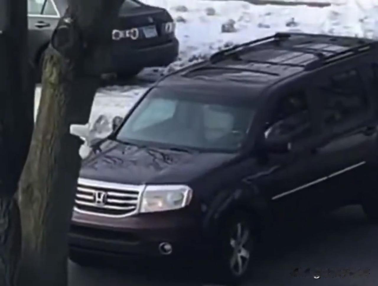 明尼苏达州女子挑衅ICE视频出现了

    根据最新流出的视频，被击毙的蕾妮·