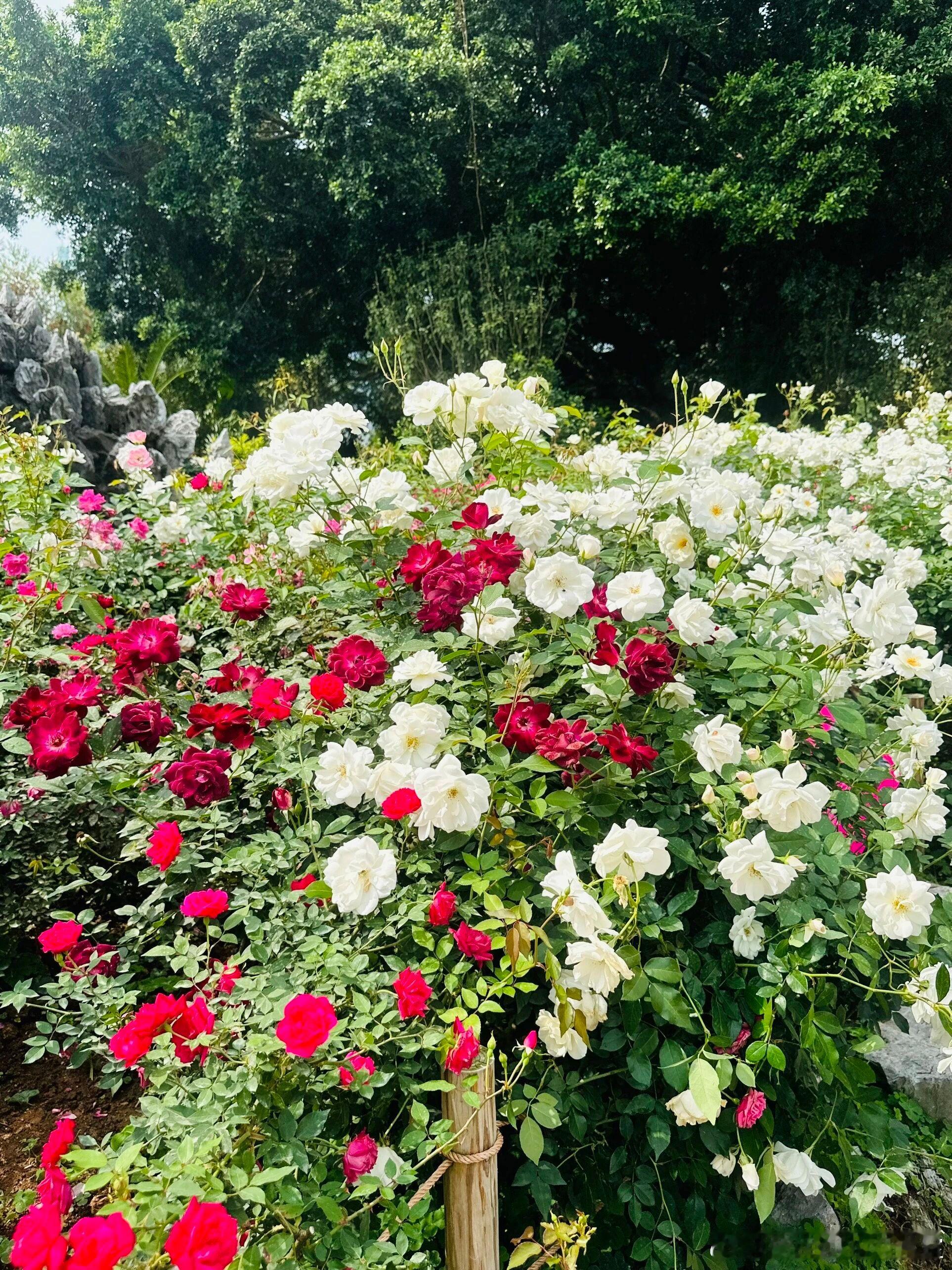 【一票否决权：放对地方，定好规矩】用好了是护身符，用不好是僵局导火索。实操中记住