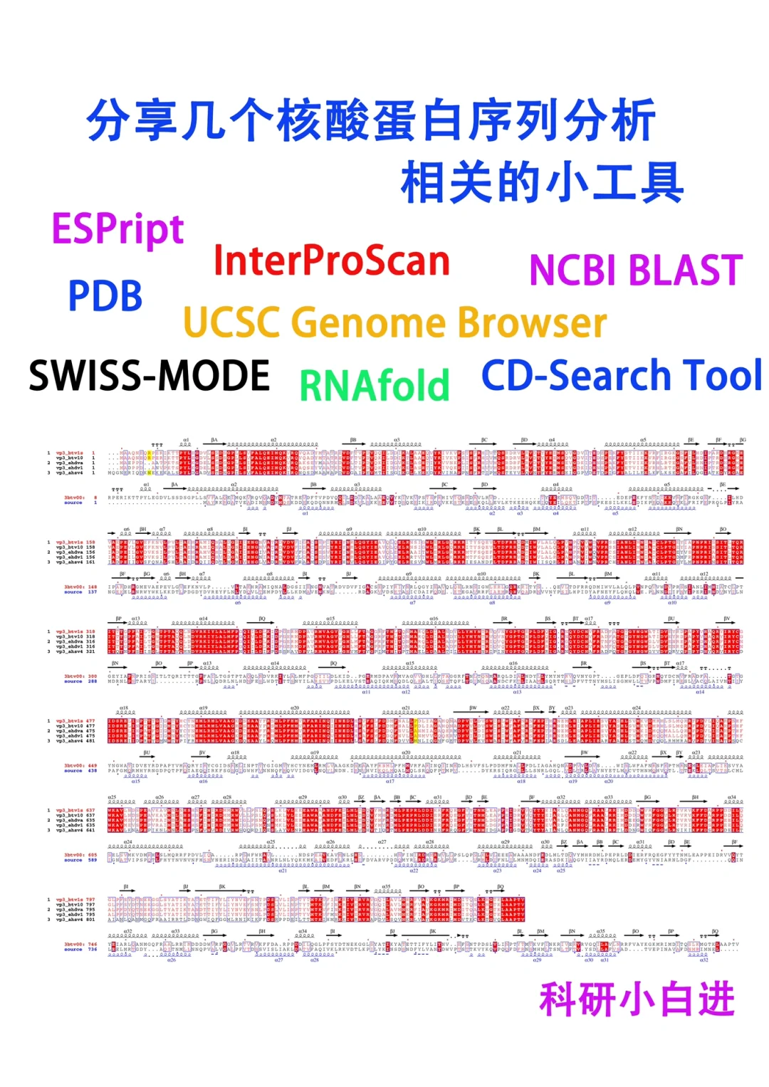 分享几个研究生好用的核酸蛋白序列分析工具