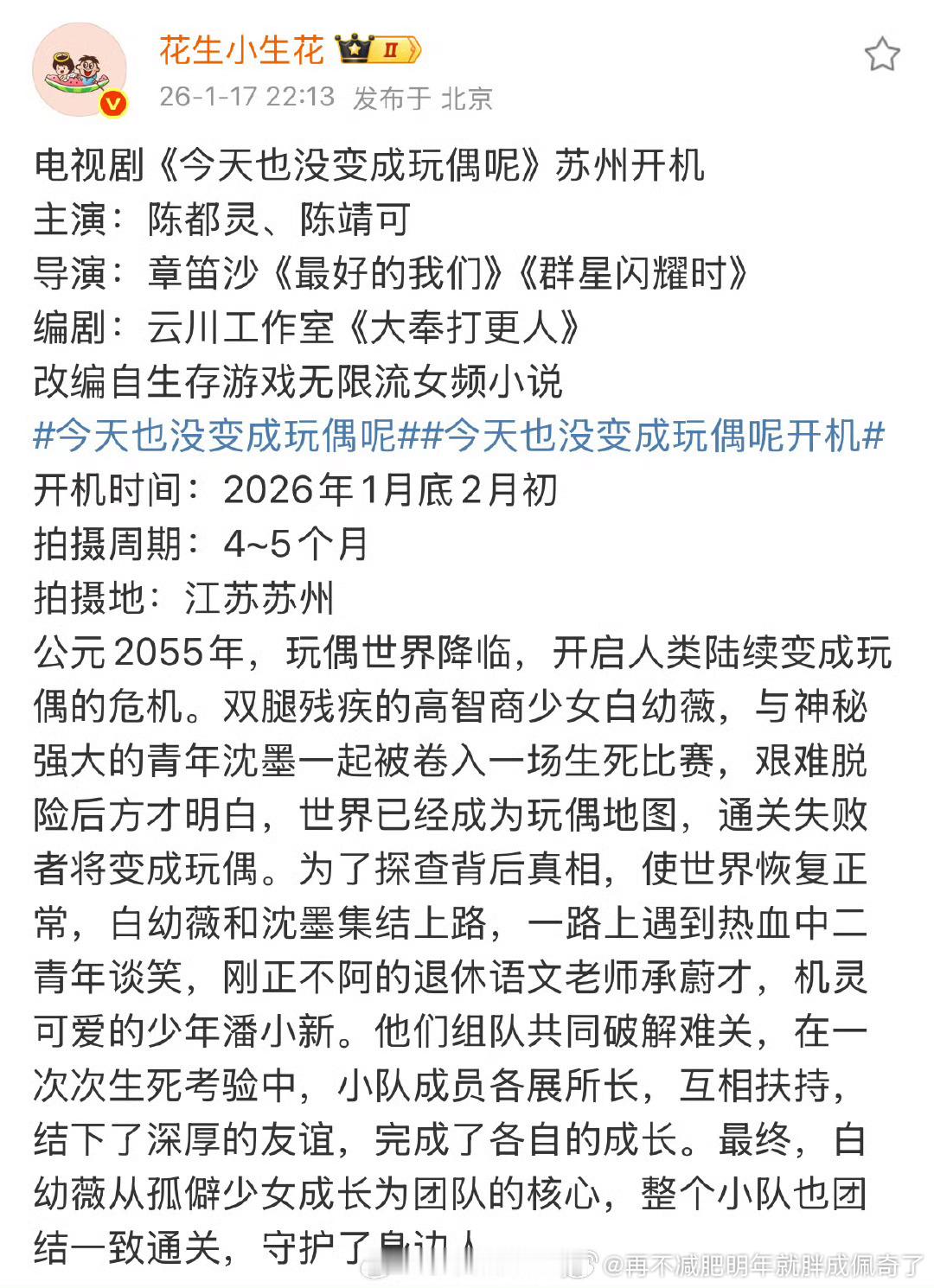 这编剧……感觉算是氵了 