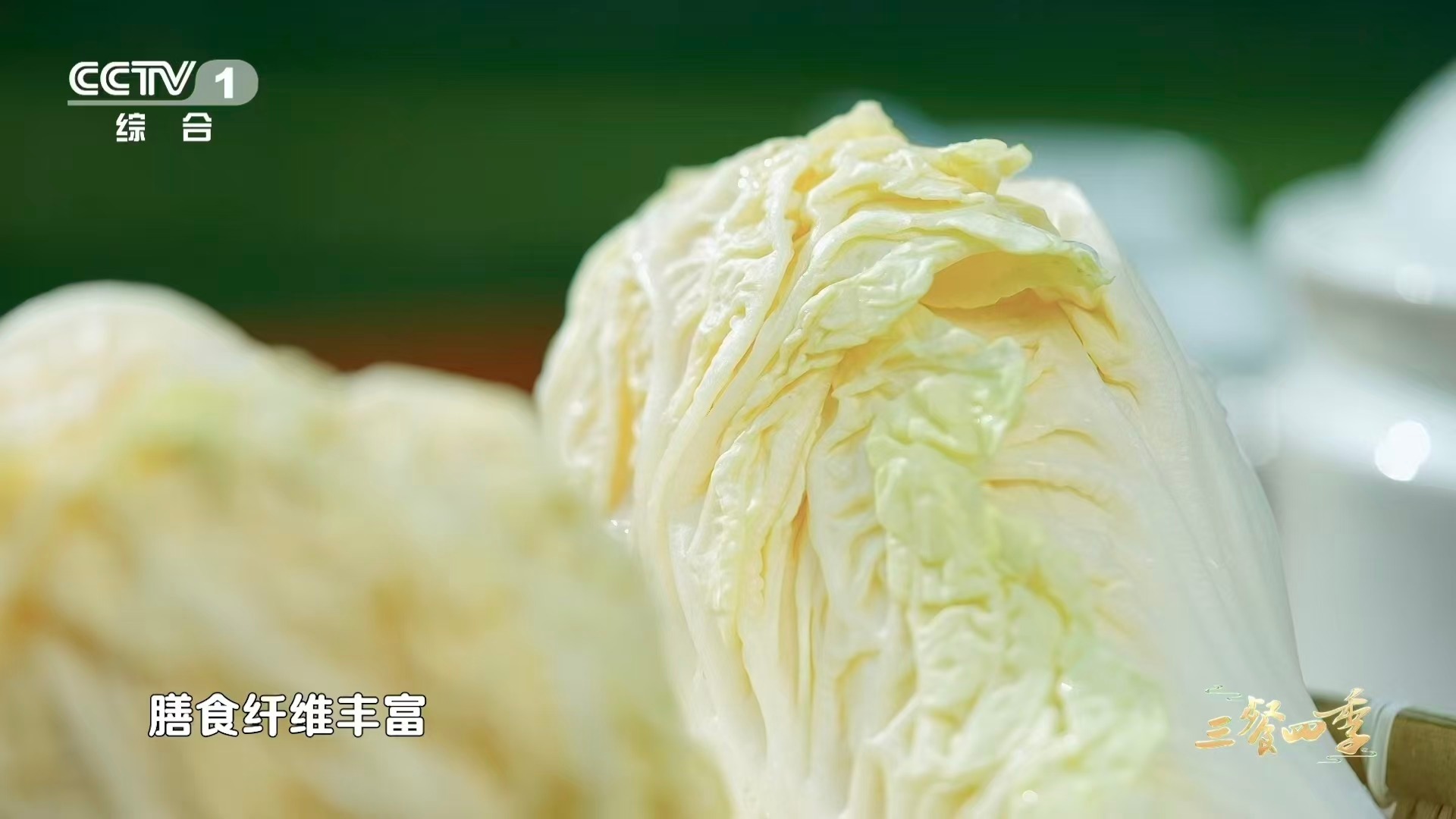 河南有种白菜甜到能当水果吃 永城苗桥白菜太上头了！脆甜口感，爆汁体验，撒贝宁尝过