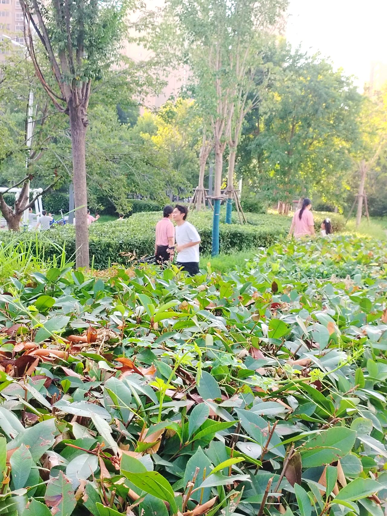 早晨去千字文文化公园散步，看到公园的景色，拿起手机随手拍几张照片，与大家共同分享