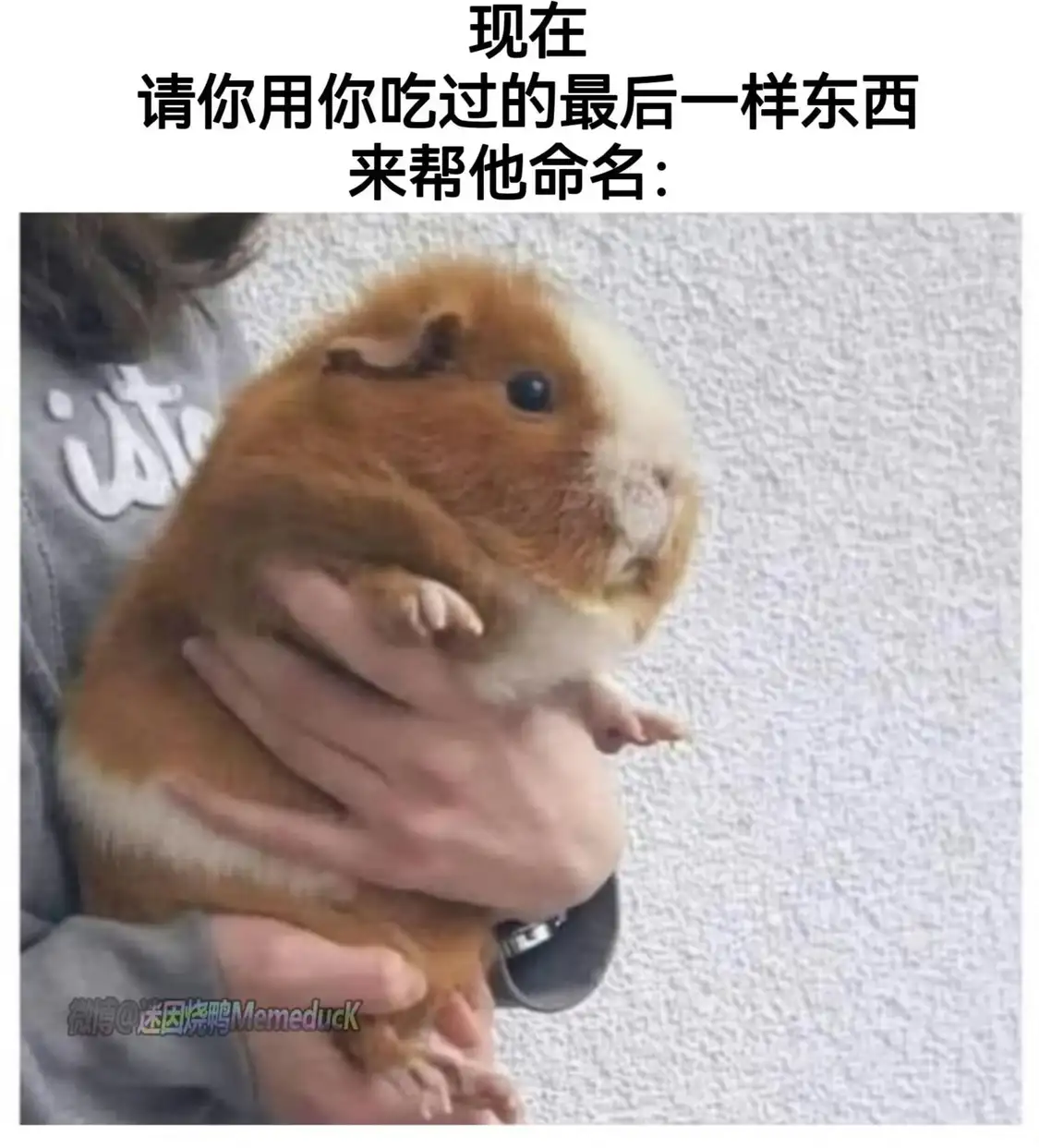 <img src=