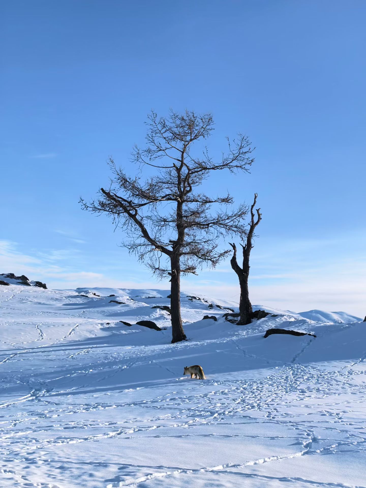 生活中有一种分寸，是知道什么时候闭嘴，什么时候笑着放手。你无需回应每一声风，也无