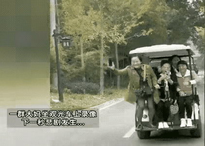 这是典型的乐极生悲！大妈们坐着电瓶车在公园游玩，后排两位大妈只顾把手机伸到外面录