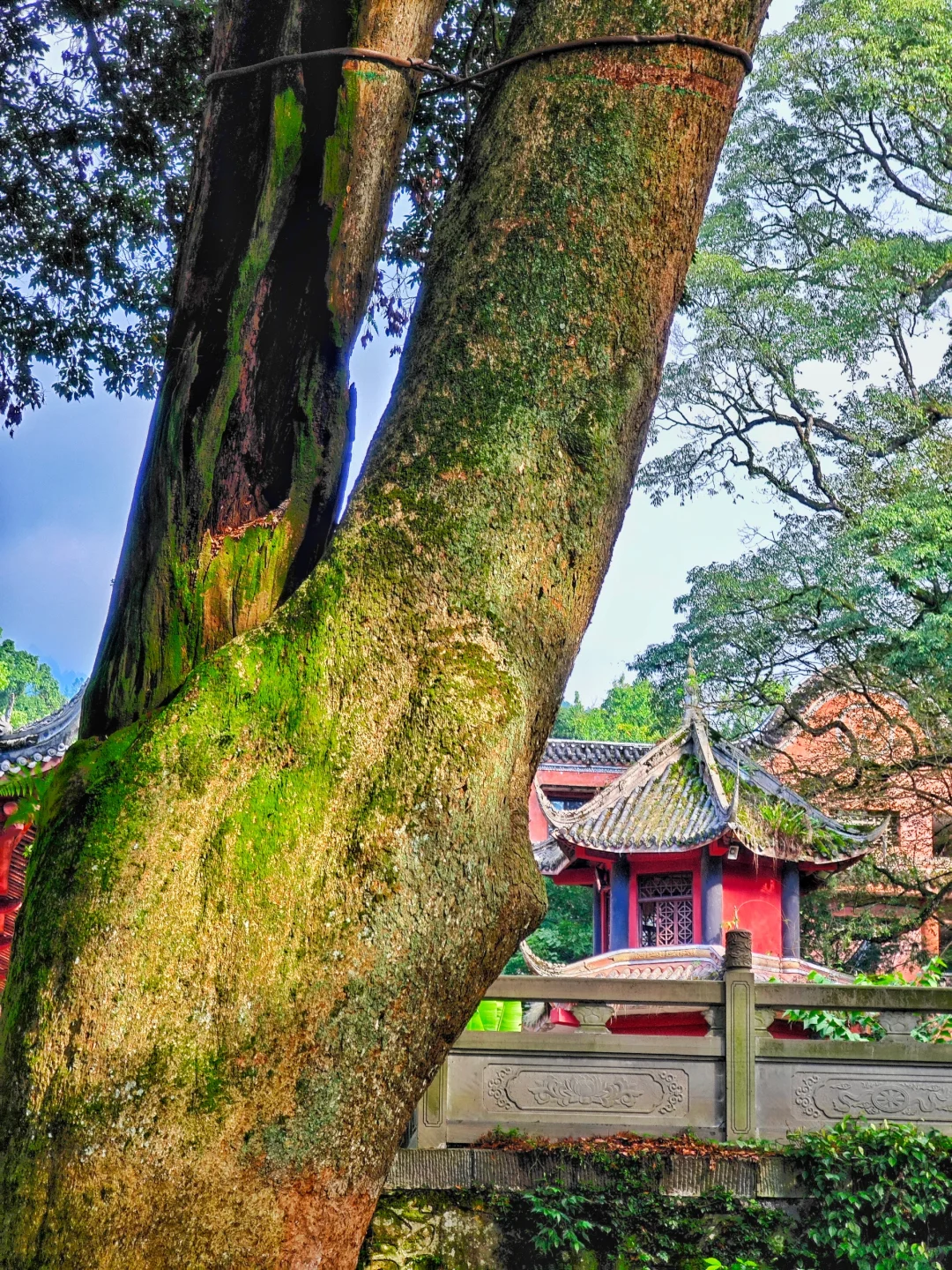 成都周边绝美但奇葩的千年古寺