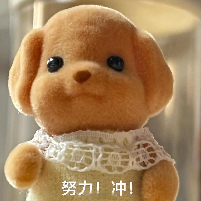 周二上新小节目 竞猜环节🔔猜猜哪个款第一个开价？评论区留言！！答案就在今晚啵啵