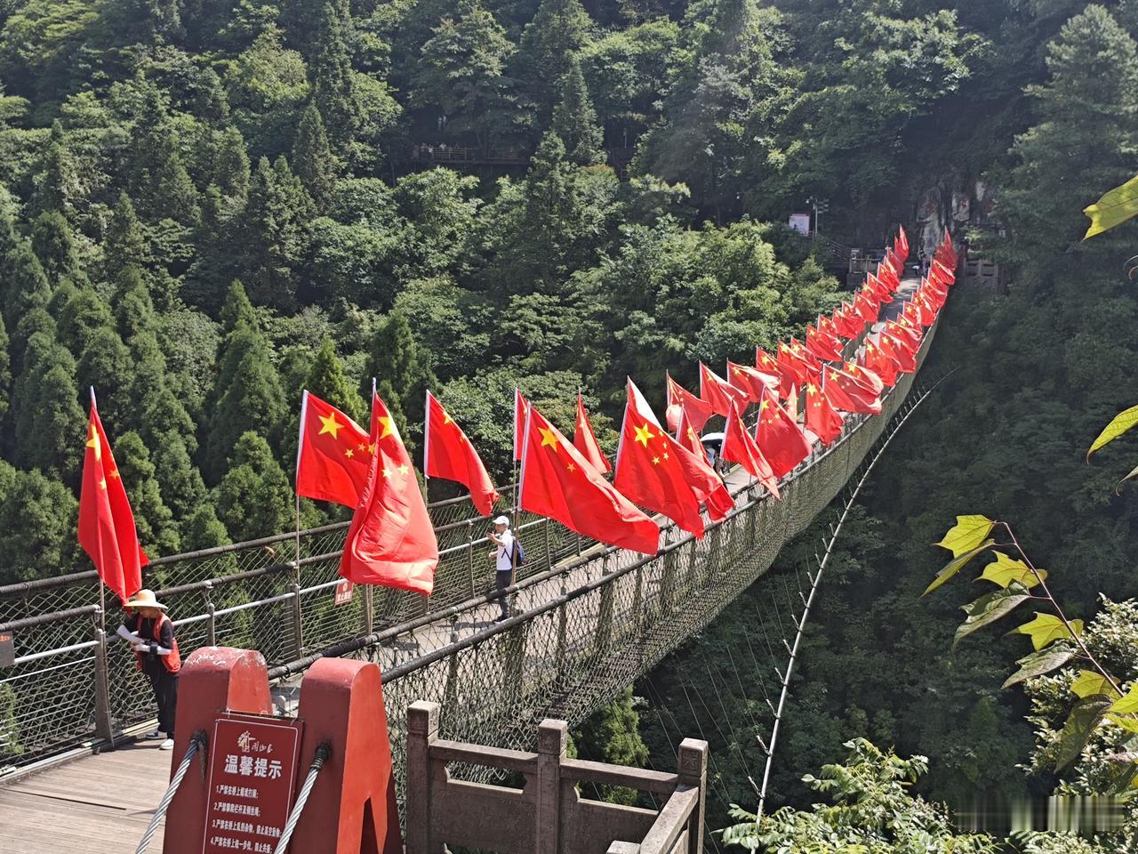 苏幕遮50·娄山长空桥
翠峦深，云壑窈。铁索横空，猎猎红旗耀。
千叠松涛青嶂绕。