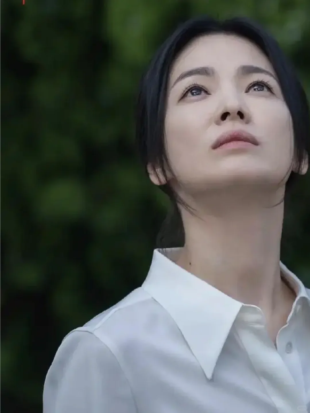 我们遗忘，我们唯求向上。