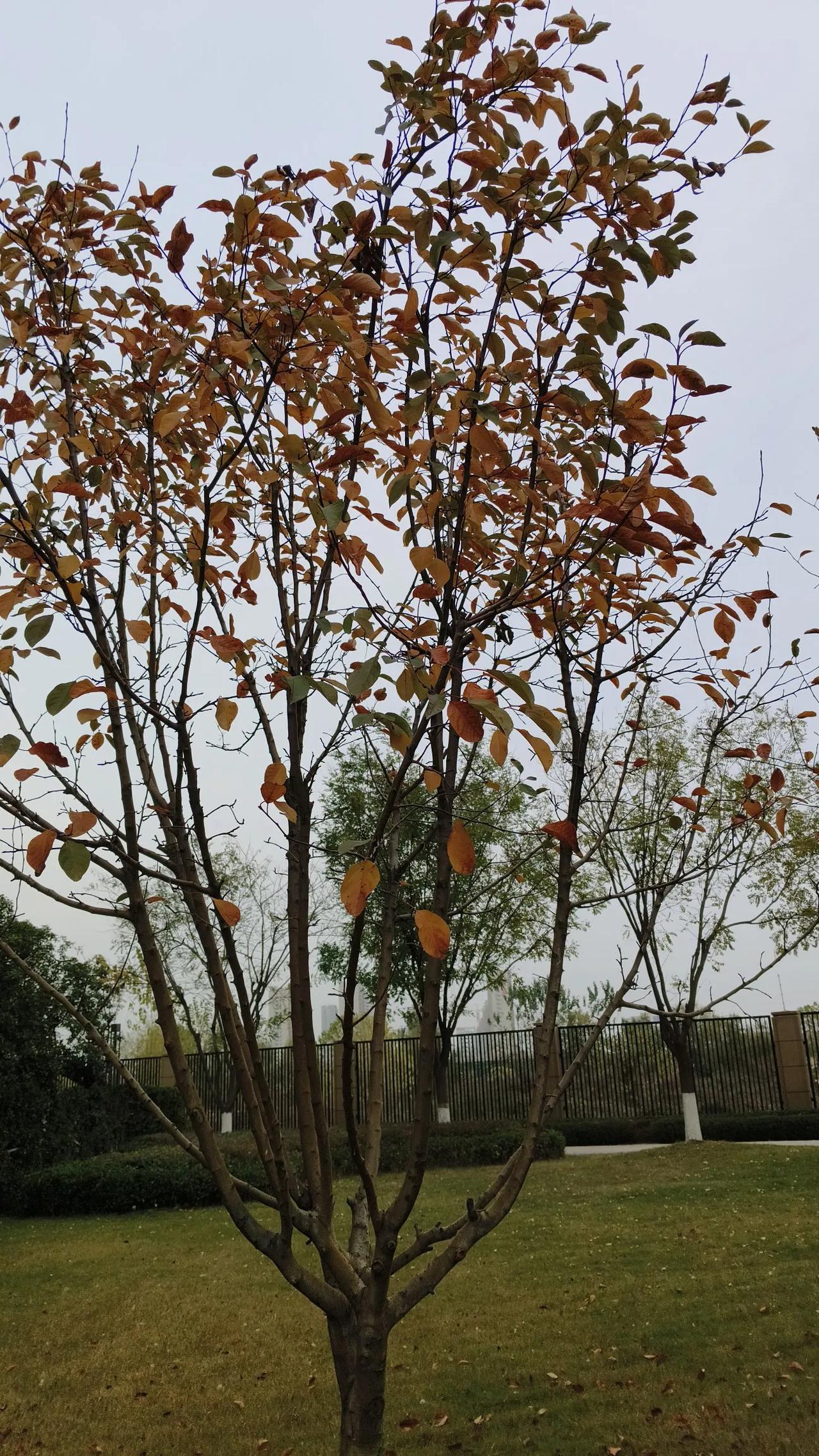 从春天的第一天到冬天的最后一天，我们能走多少天，你知道吗？[呲牙][呲牙][加油