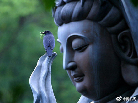 我不问  +  你不说 = 误会我问了  +  你不说 = 隔阂我问了  +  