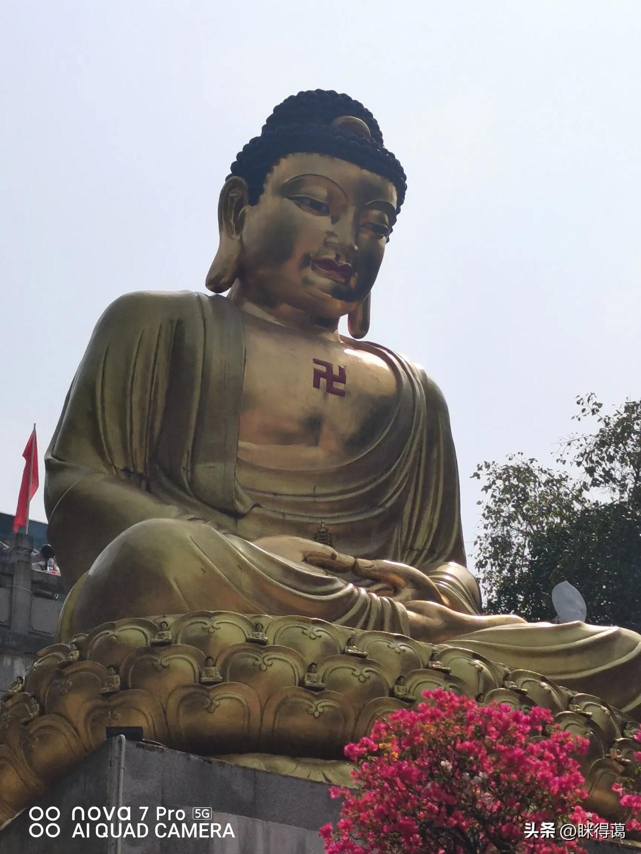 修行内观后，有两方面改变:

1、私心杂念少，烦恼贪执也少
以前，杂念多，烦恼念