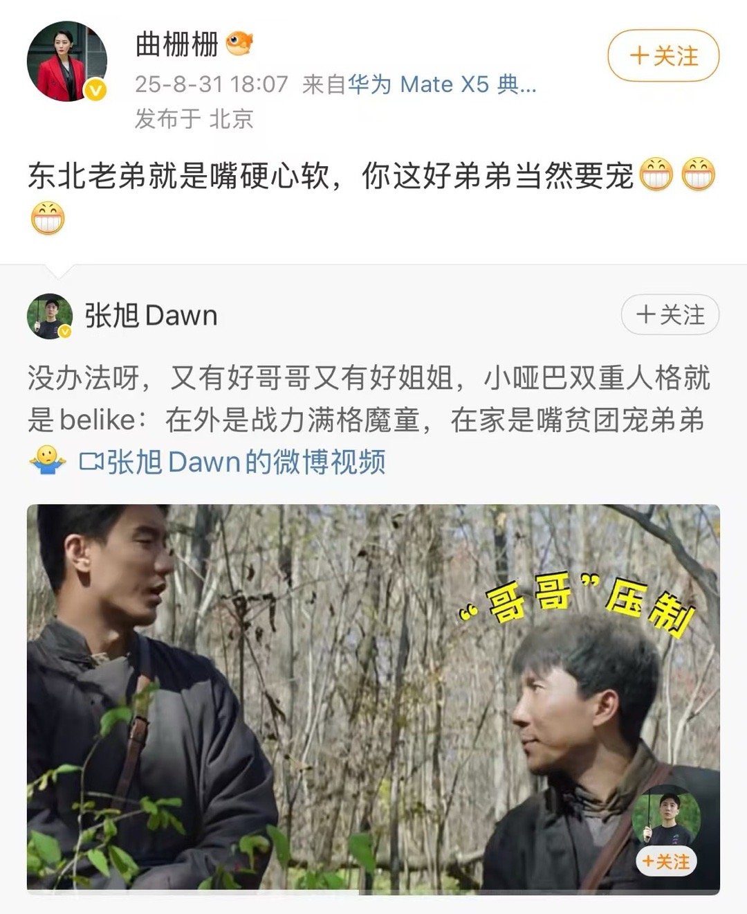 被宠的弟弟多半是这样 外面的弟弟再光鲜，哪有家里的“活宝”接地气！十有八九都像《