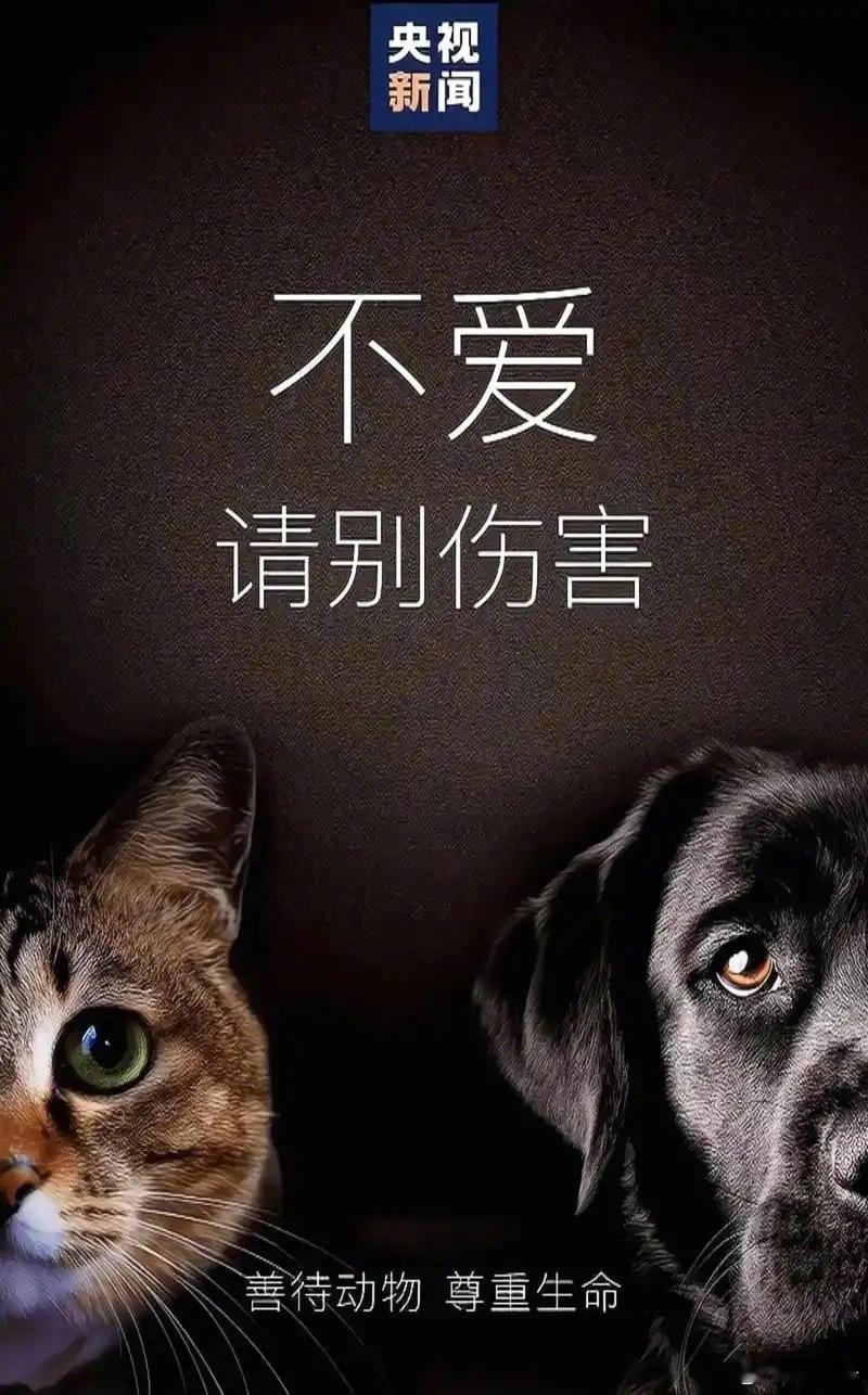 袁姗姗发文呼吁善待动物袁姗姗说养狗需要包容和责任太认同袁姗姗说的了！以“管教”为