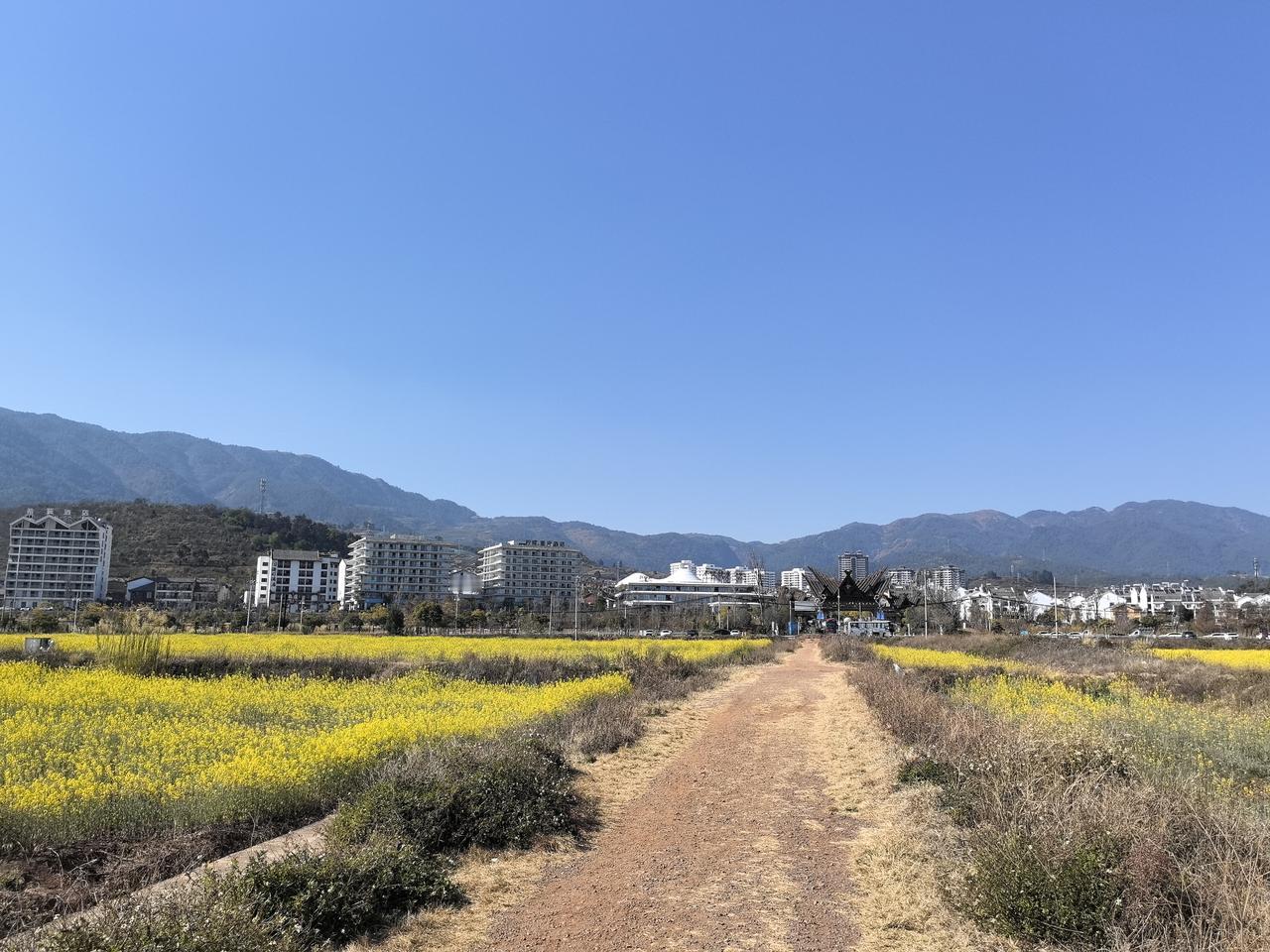 石油美元要是出问题，那美国可就完蛋了。我之前就说过，阿拉伯石油出口国是石油美元的