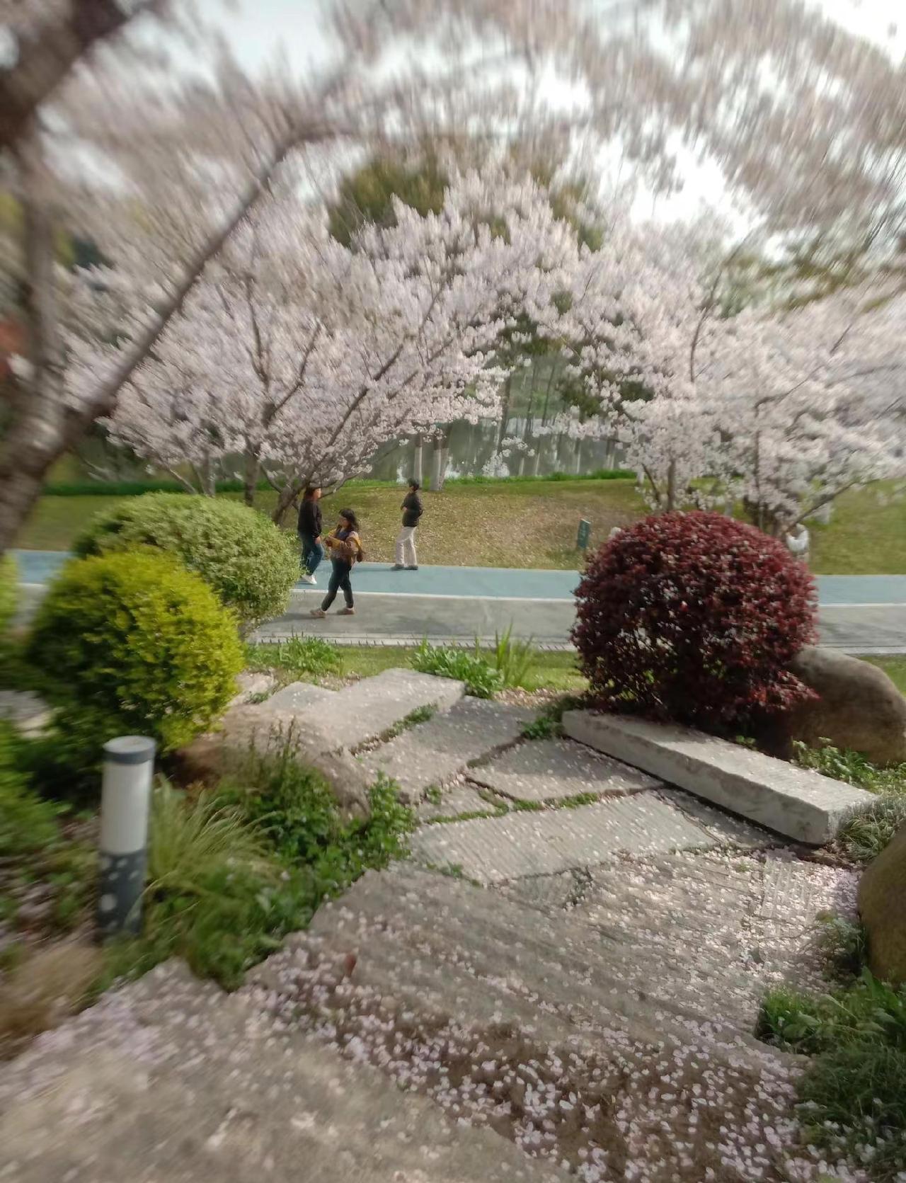 A级通缉令。江苏省公安厅我马敬松关于，无锡市少3个小孩。一个前街一叶庄一个大通四