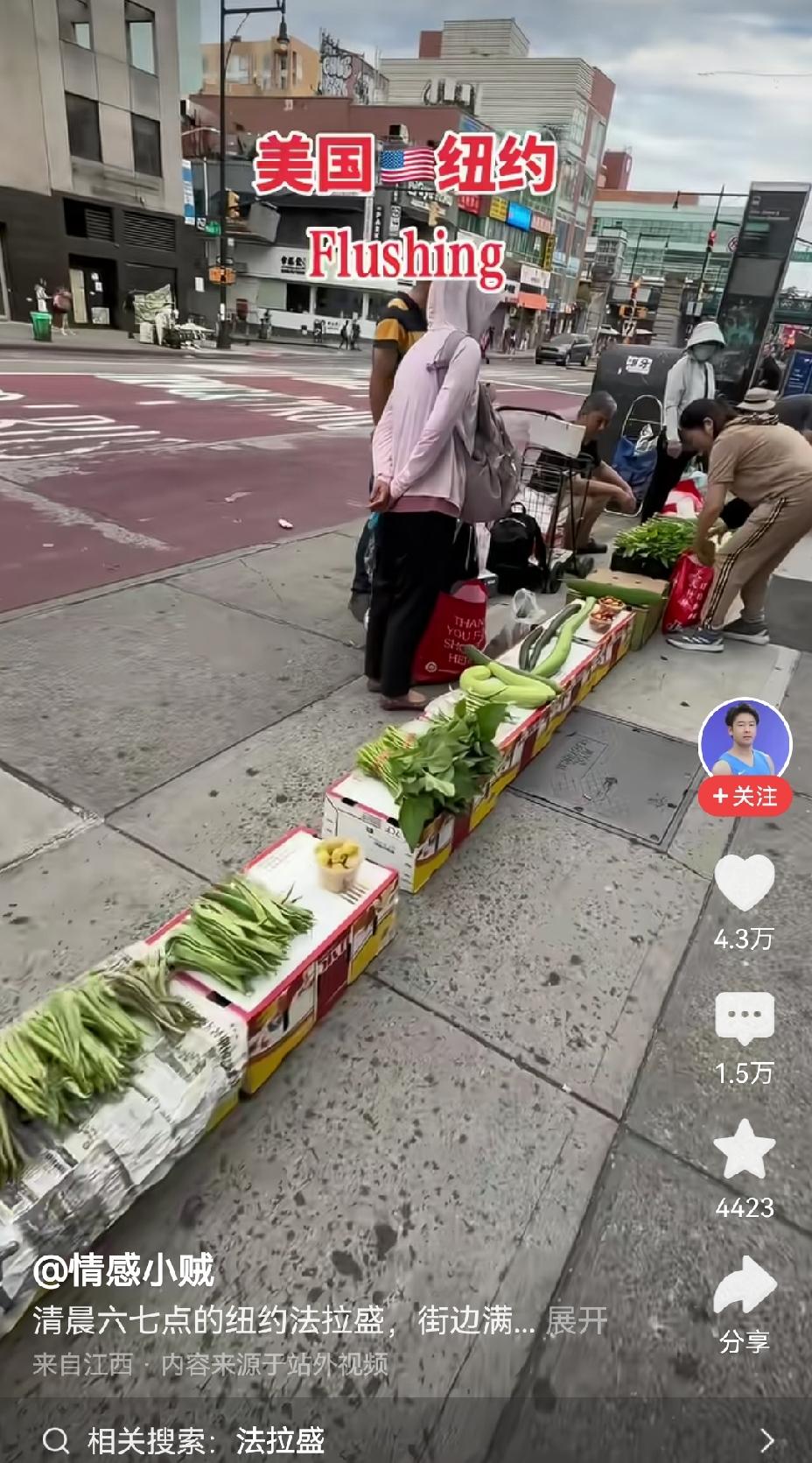 【纽约街头地摊儿卖菜摆成一排：美国没有城管吗】纽约街头地摊儿卖菜整齐排列的景象，