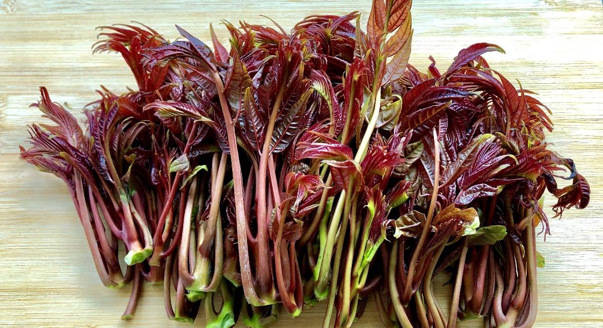 我突发奇想，如果把香椿嫩芽晒干或者烘炒，然后当做茶叶泡起来，会怎么样呢？

取名