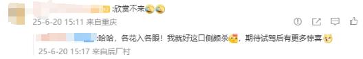 特斯拉Model X狠狠夸，理想i8却被质疑丑？20年老司机：双标要不得！

老