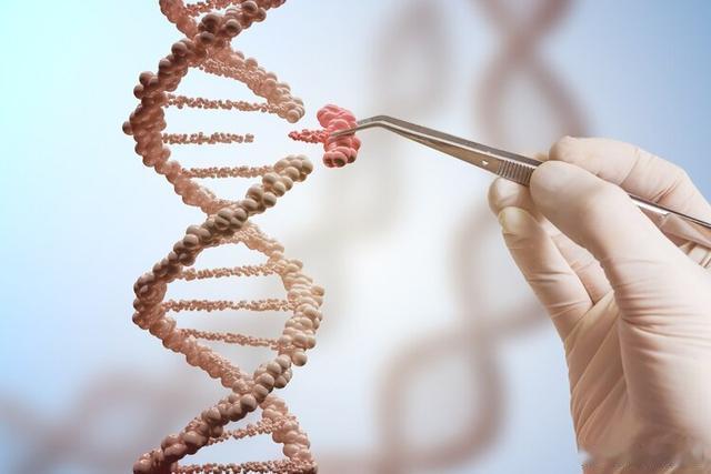 菲尔兹奖得主称AI与数学正严重错位 警告有用吗？⚠️25位菲尔兹奖得主9月11日